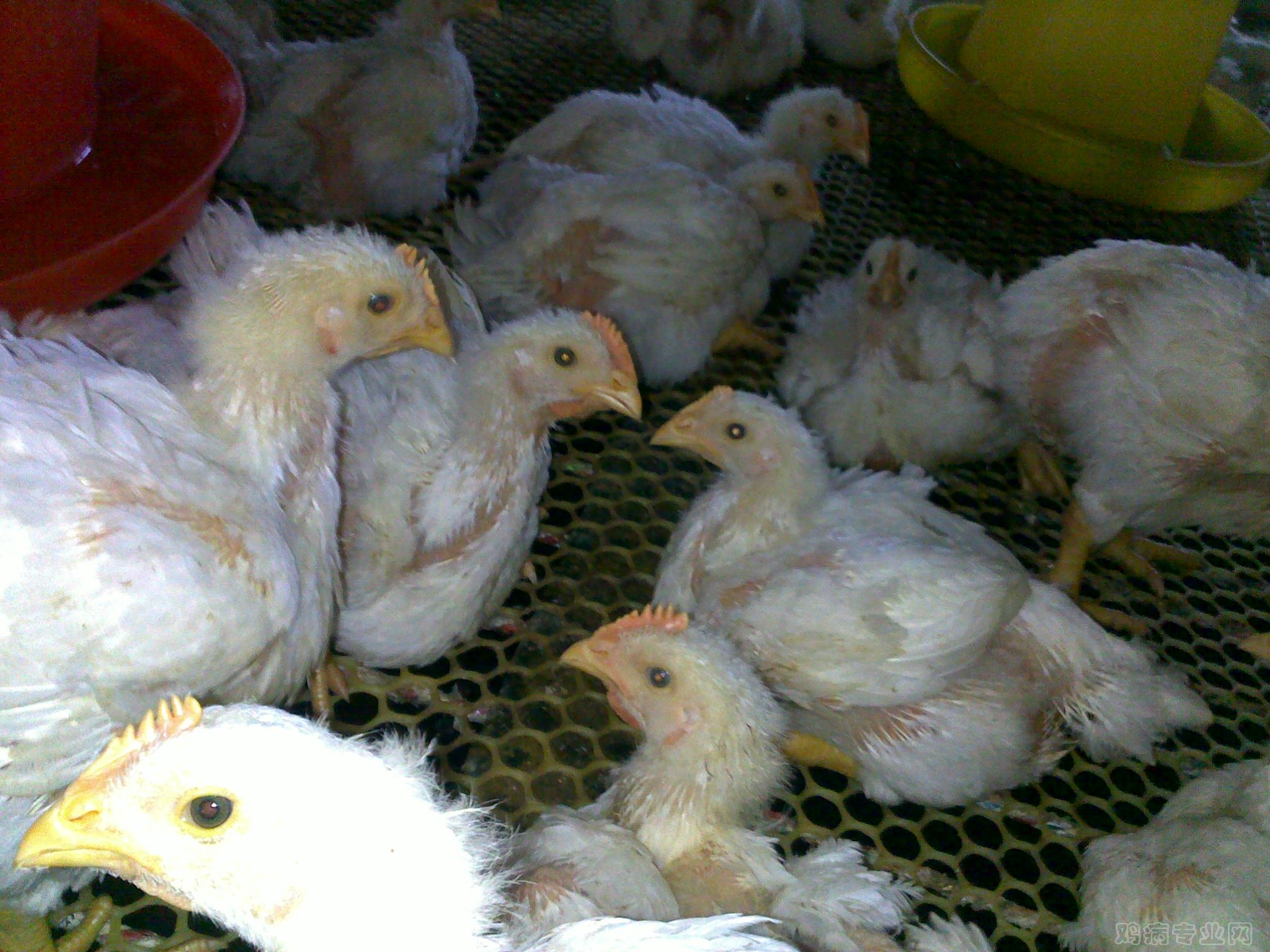20120812293.jpg