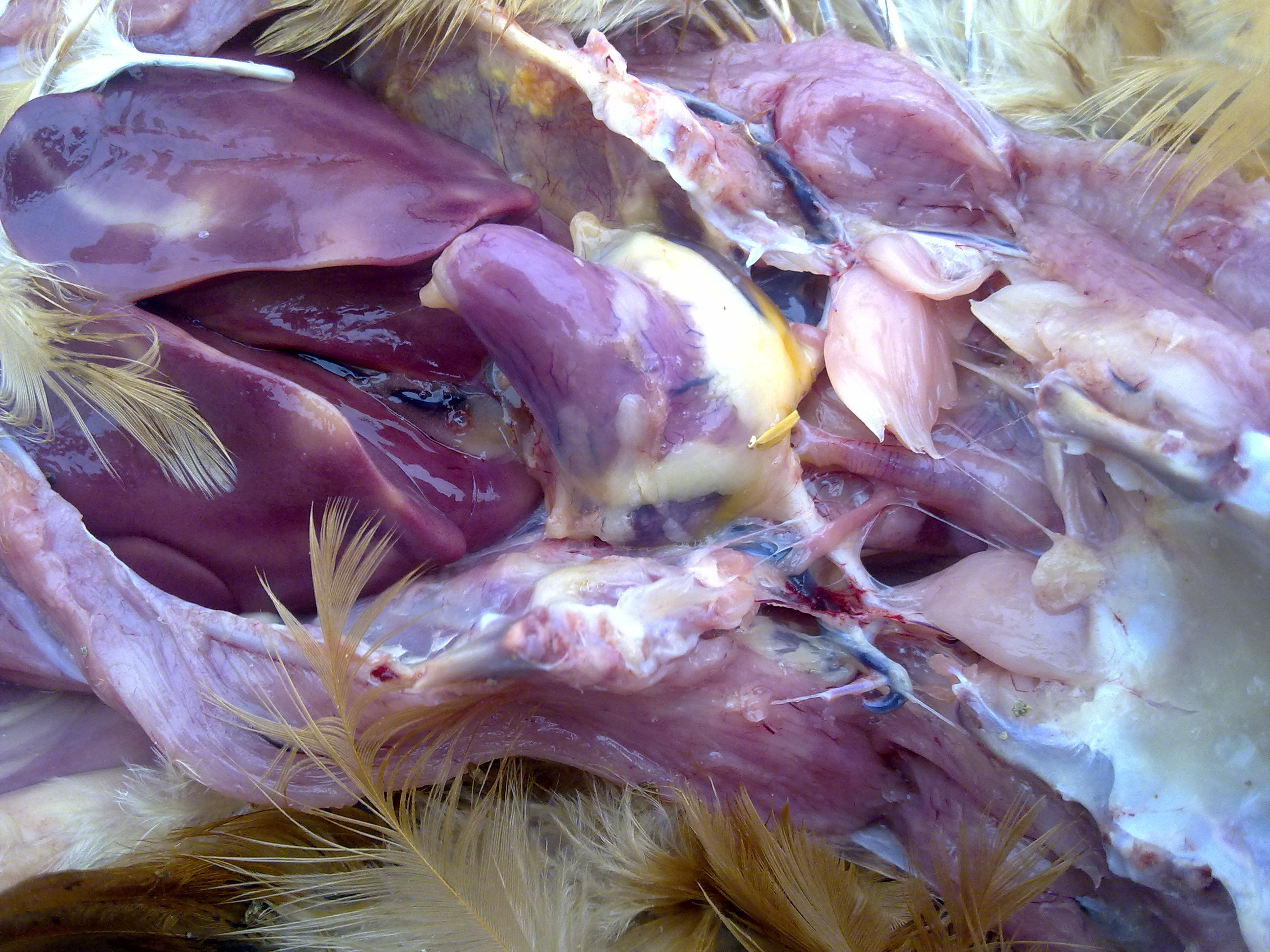 20120919260.jpg