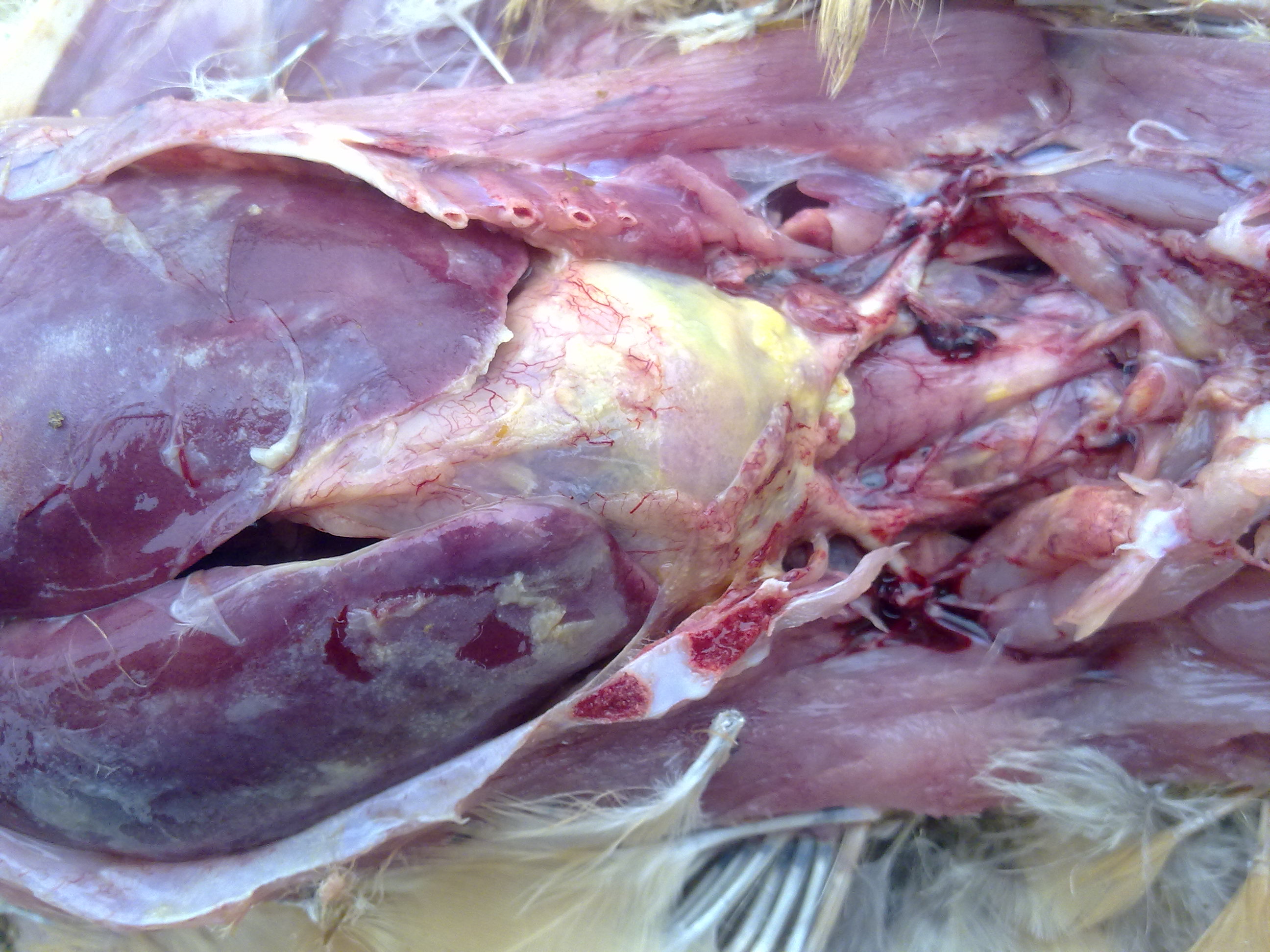 20120919257.jpg