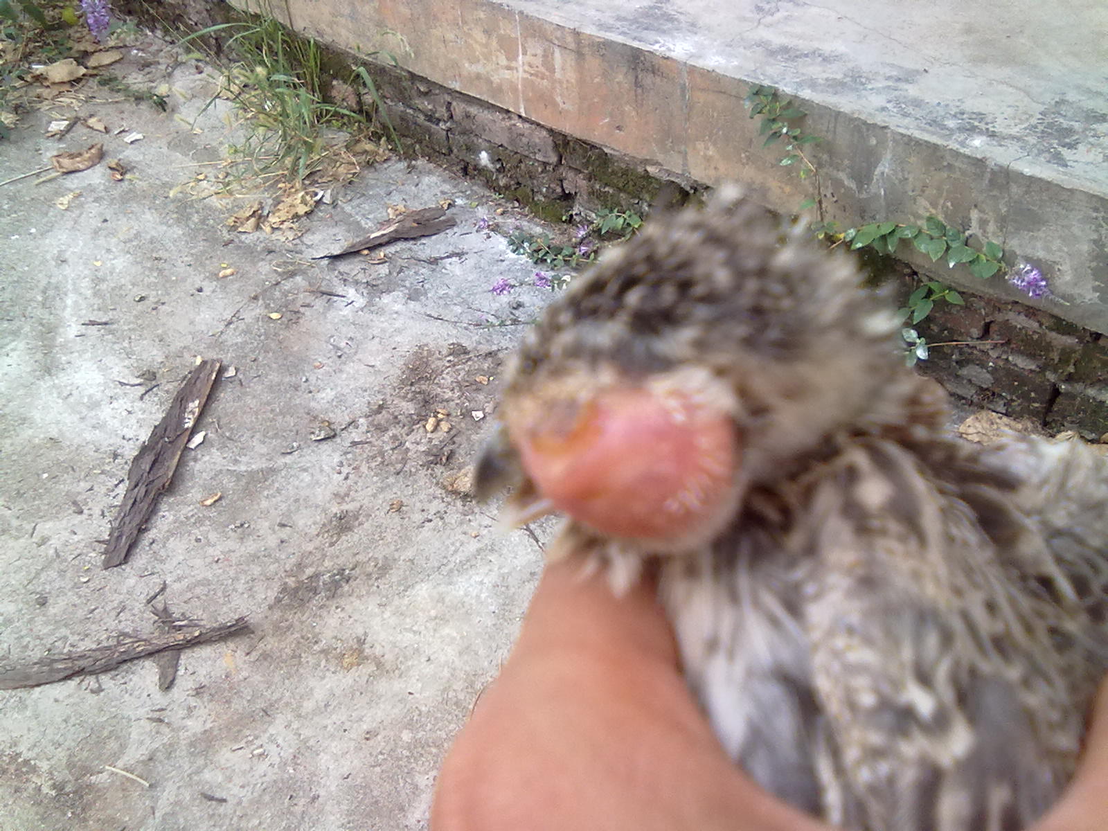 20120917023.jpg