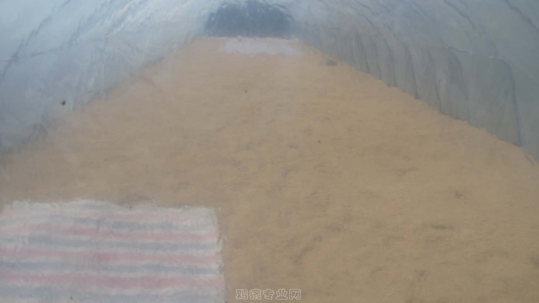 Ƭ 095.jpg