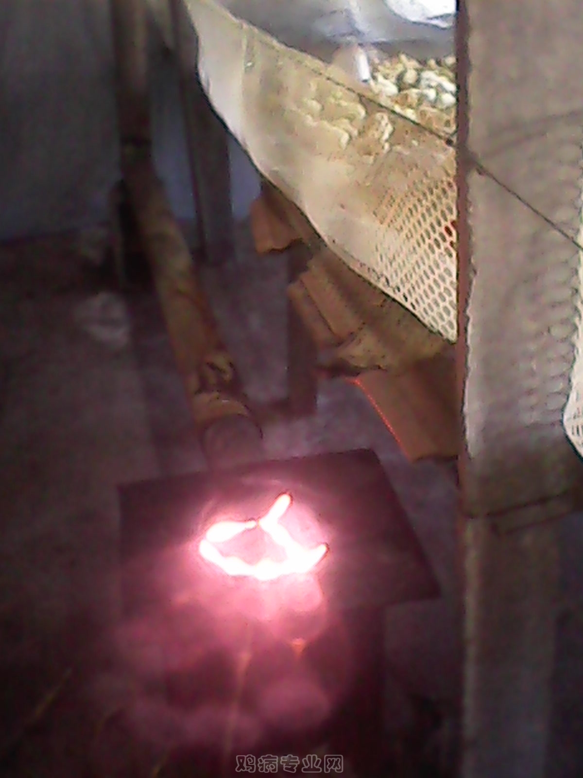 IMG_20120928_081242.jpg