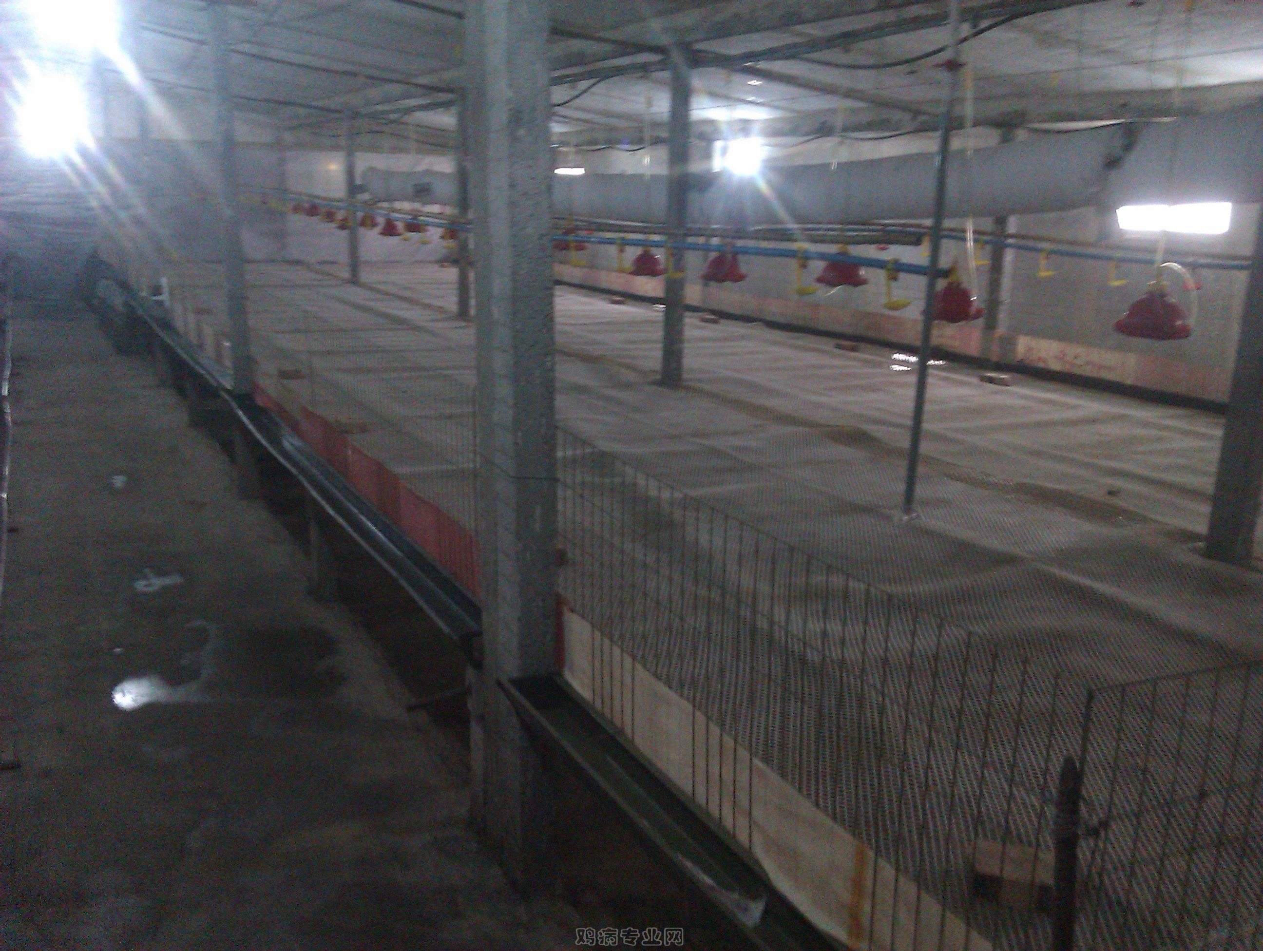 IMAG0004.jpg