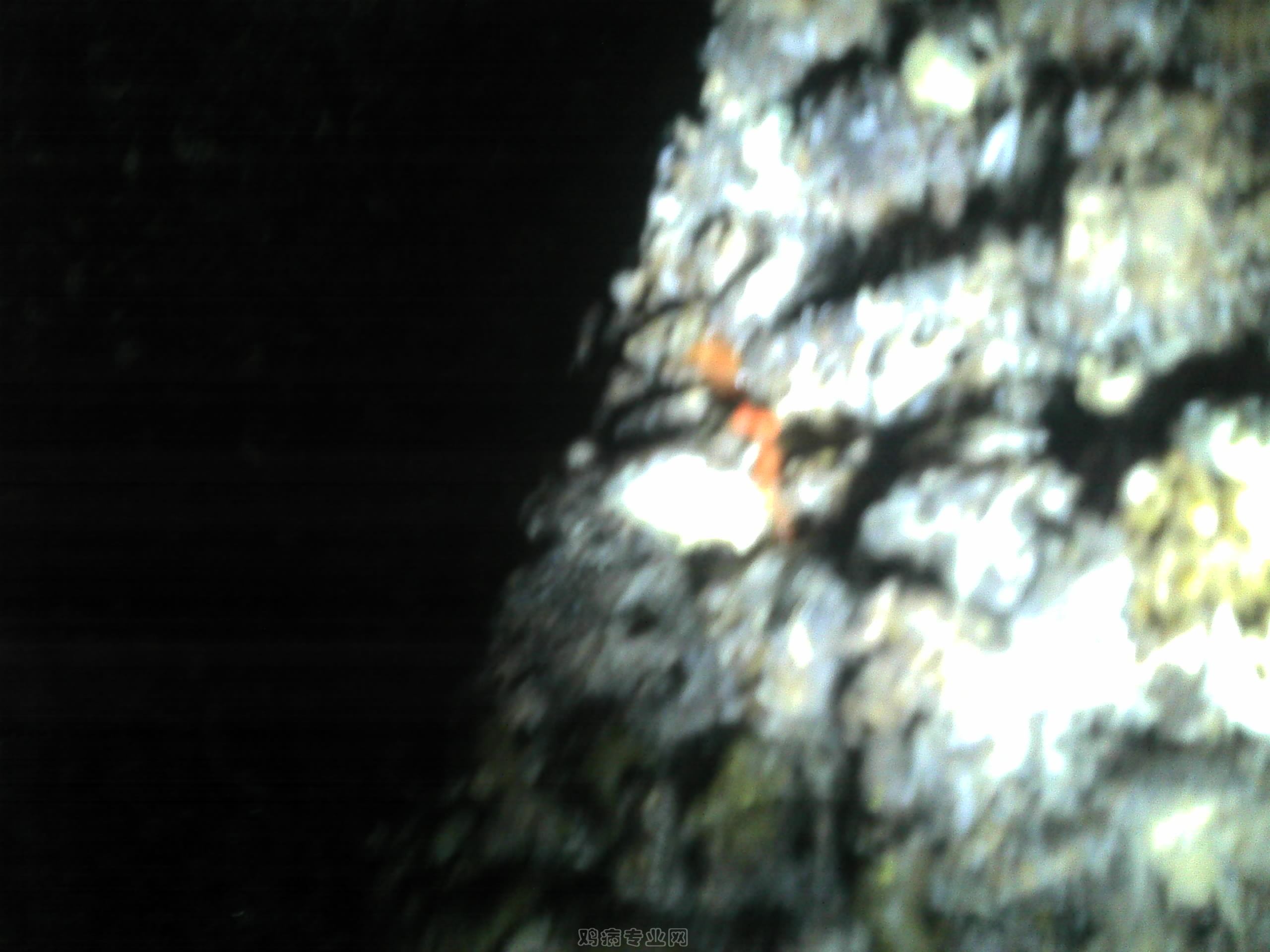 Camera_20120910_171355.jpg