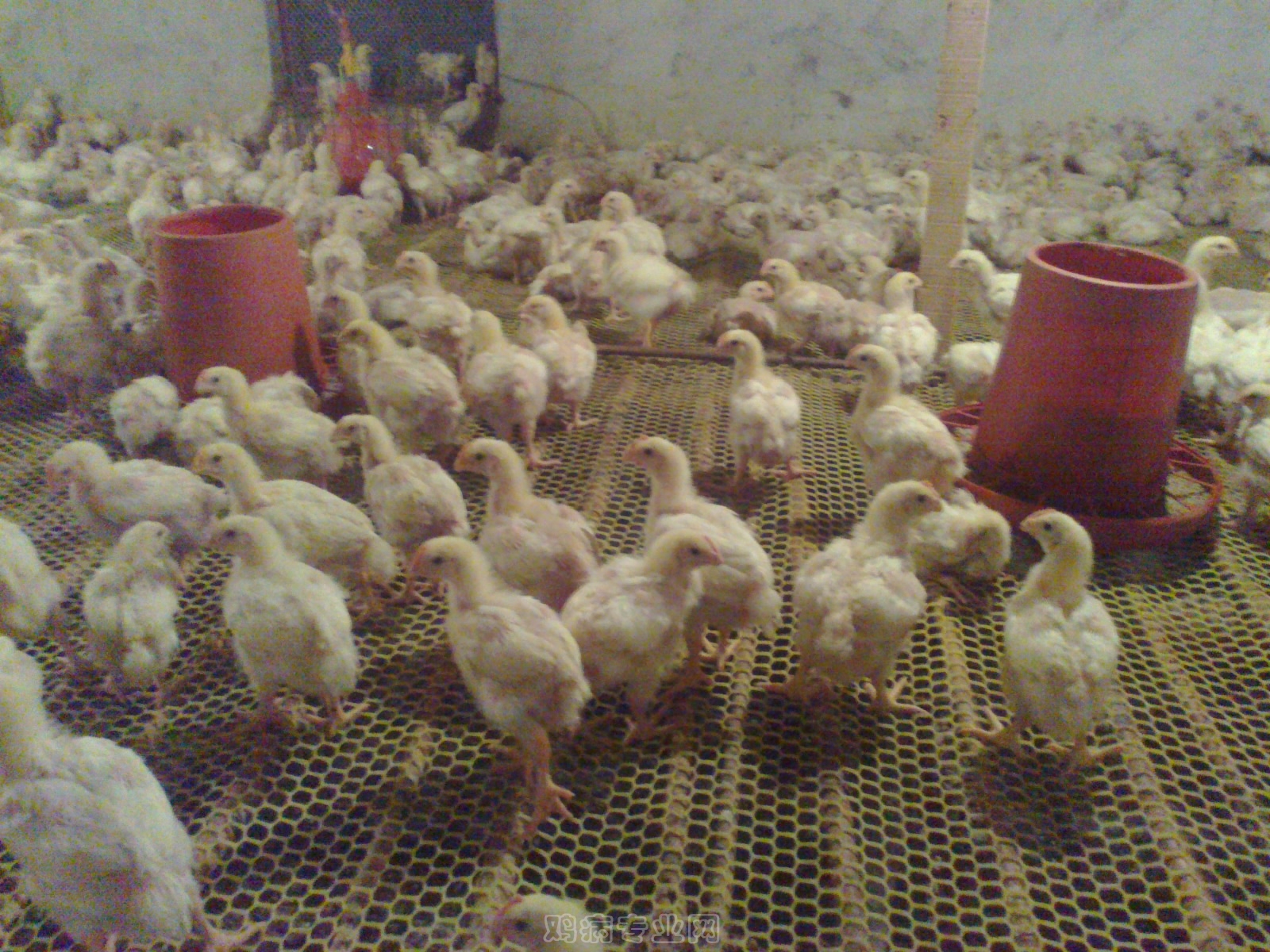 20120929645.jpg