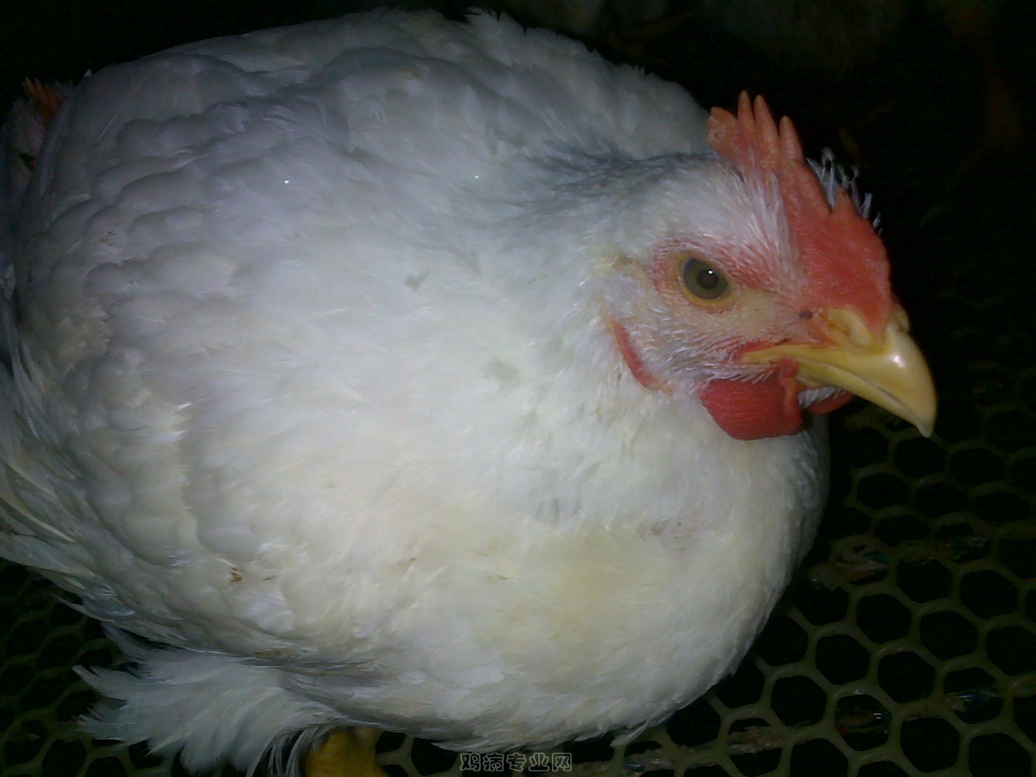 20120903628.jpg