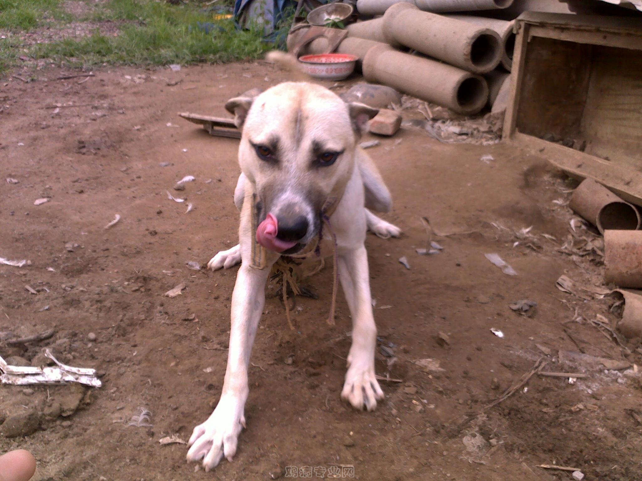 20120906635.jpg