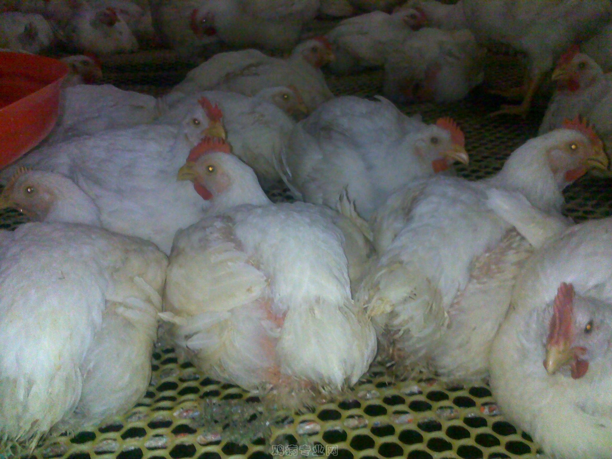 20120903614.jpg