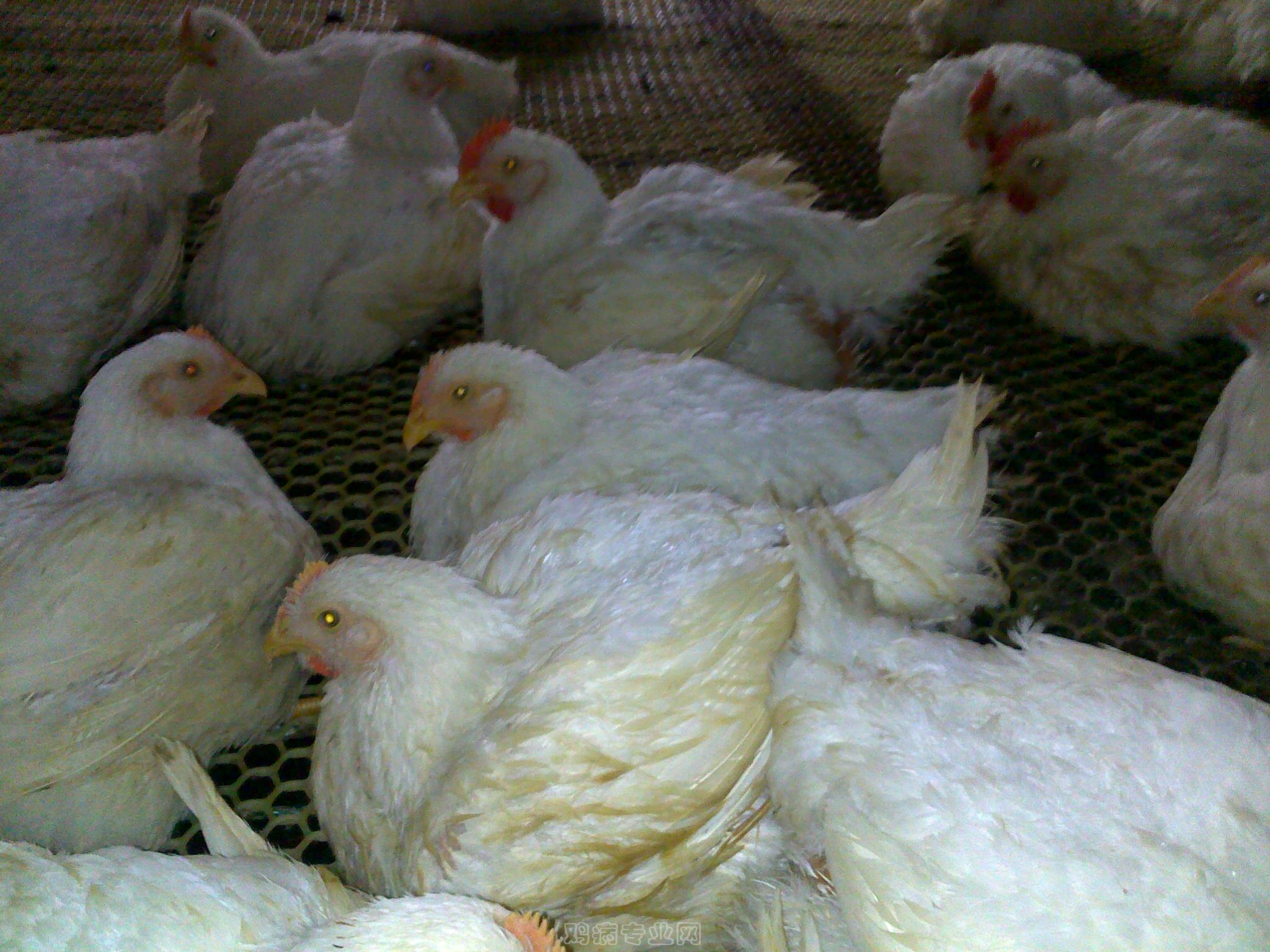 20120906660.jpg