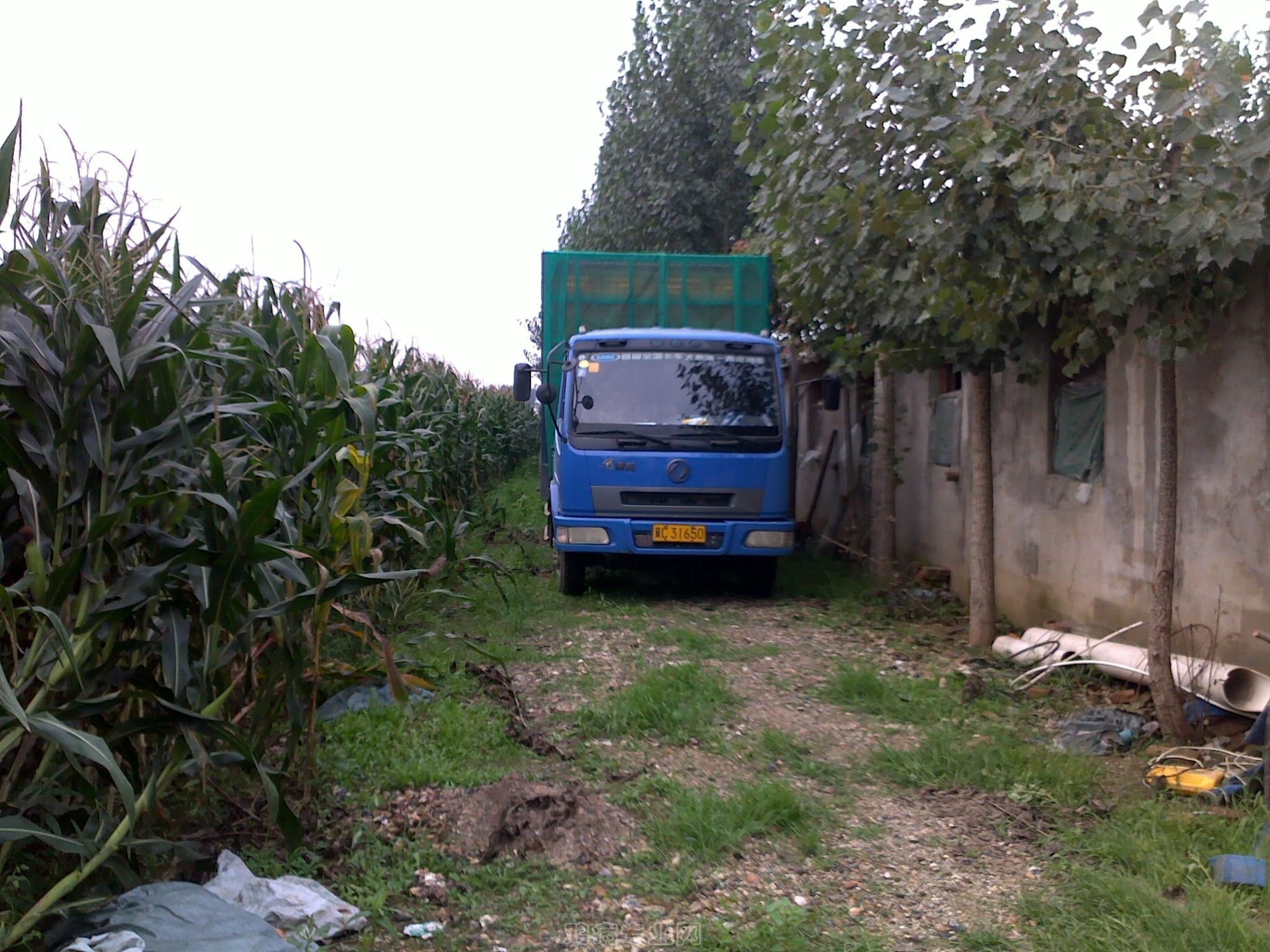 20120906652.jpg