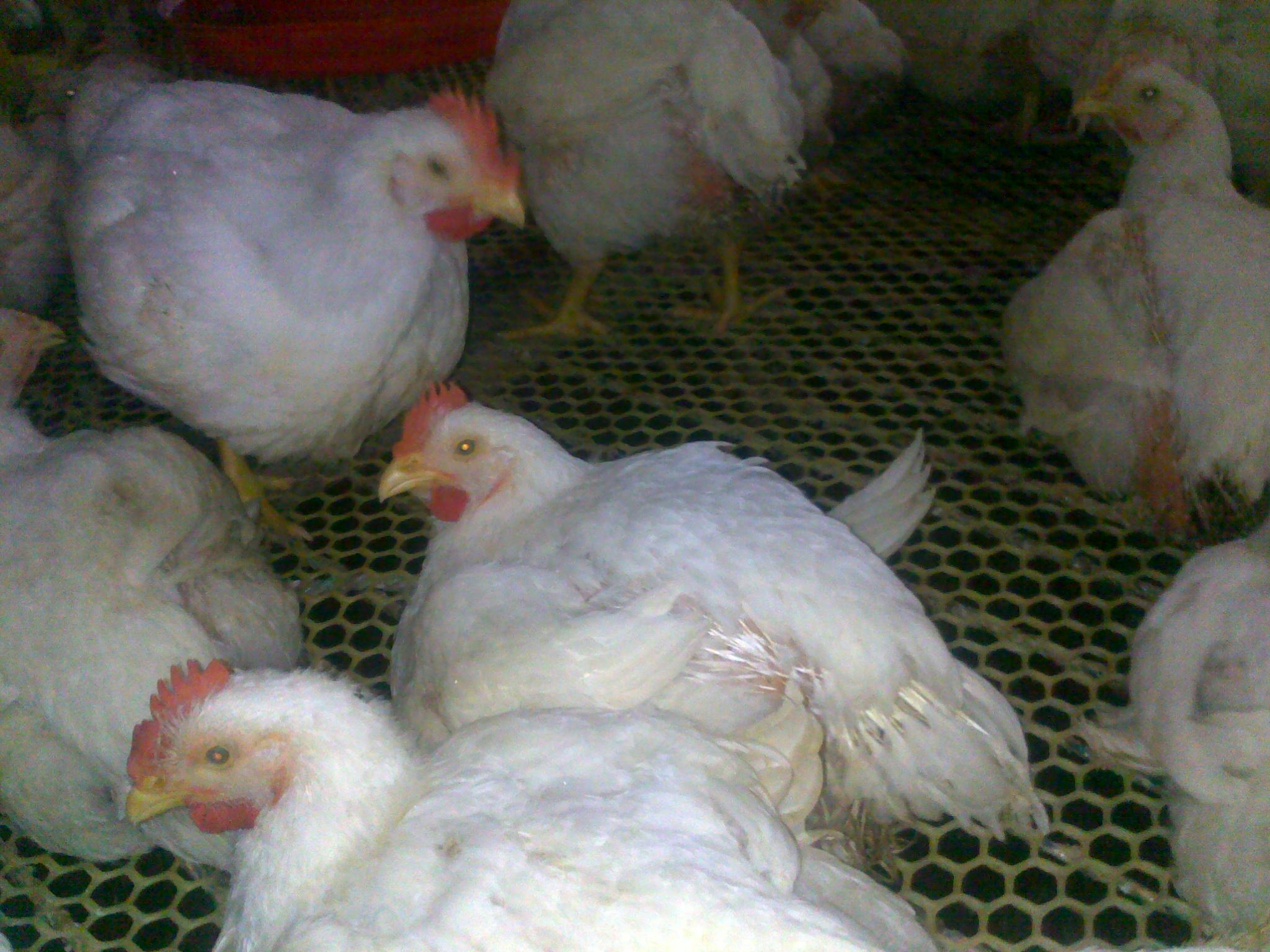 20120903598.jpg
