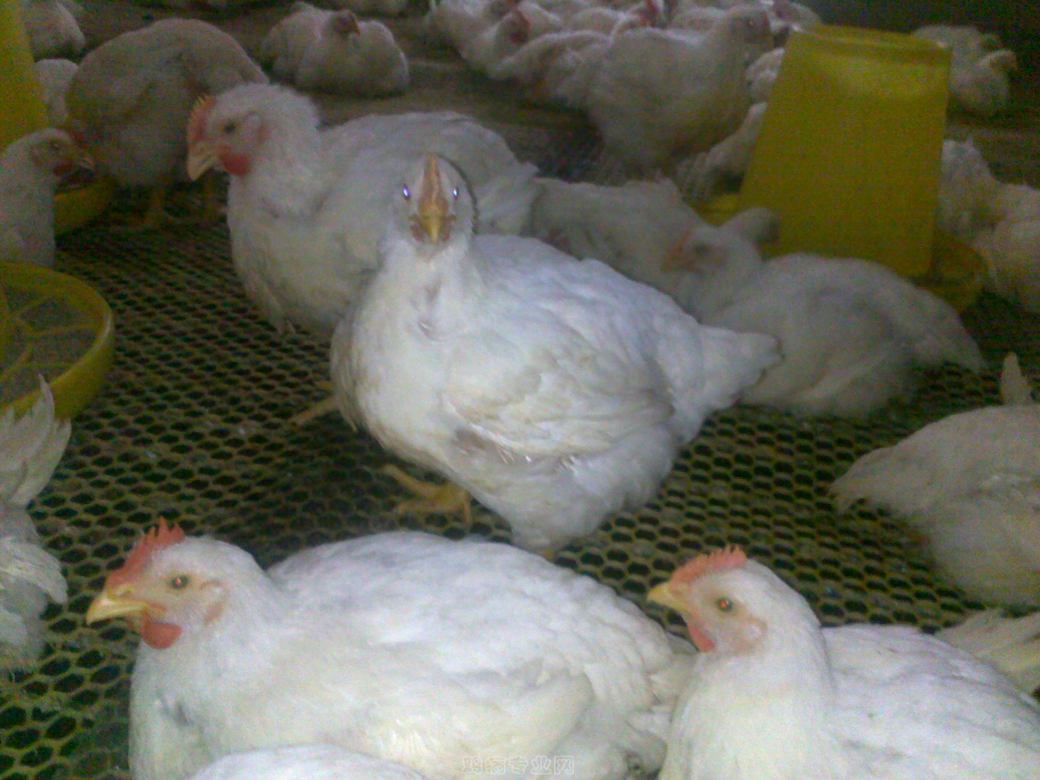 20120903599.jpg