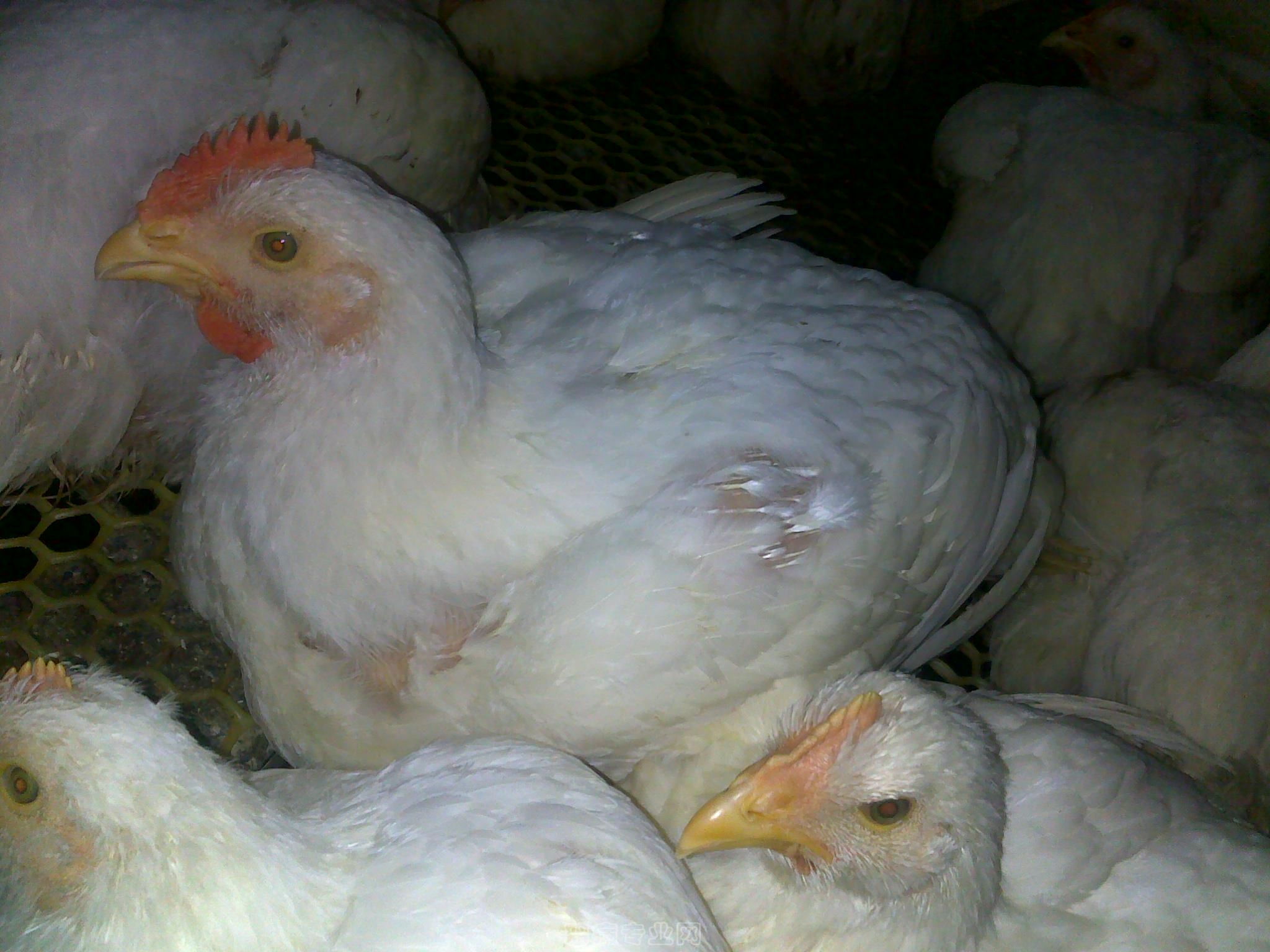 20120902585.jpg