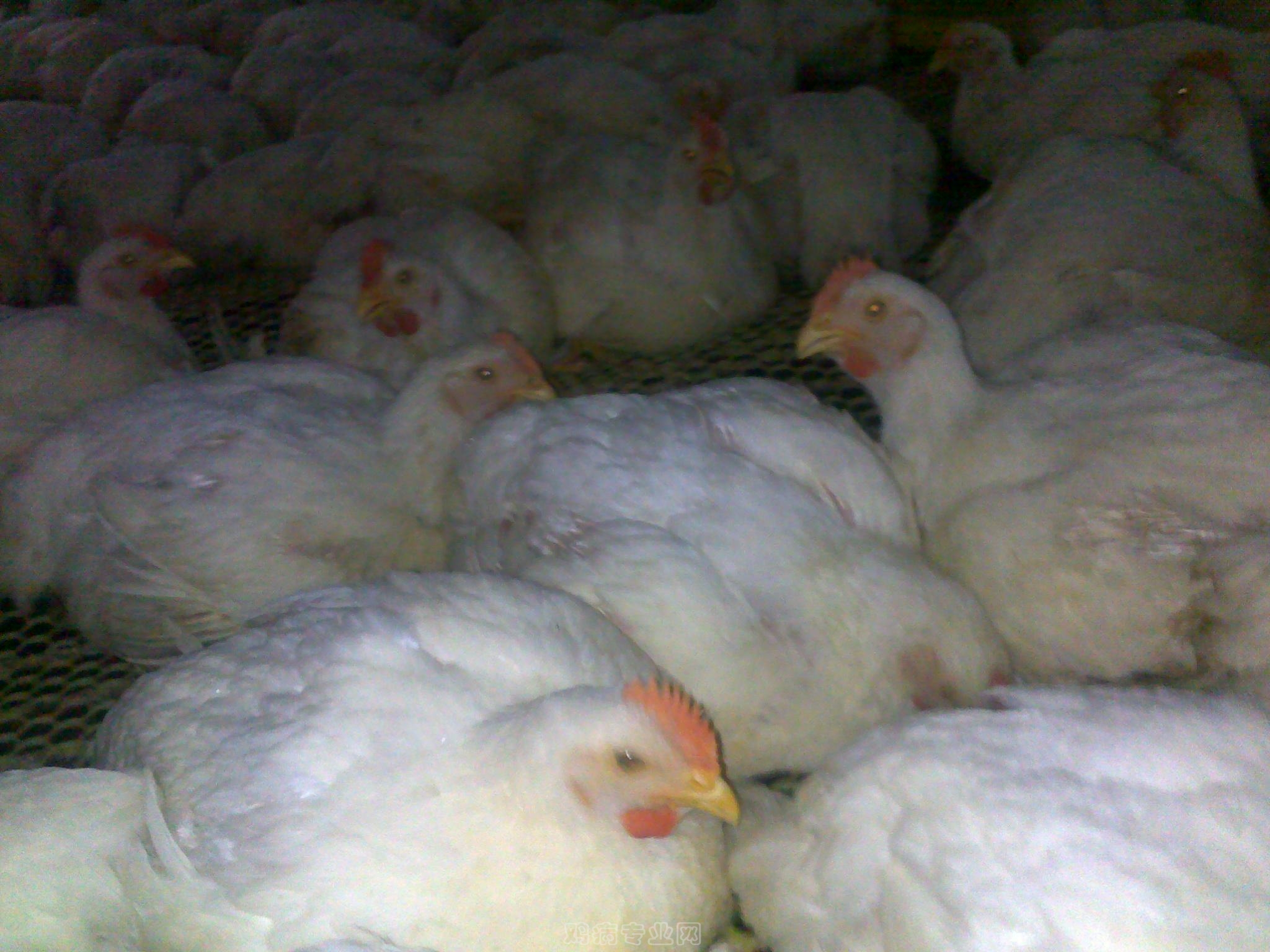 20120903618.jpg