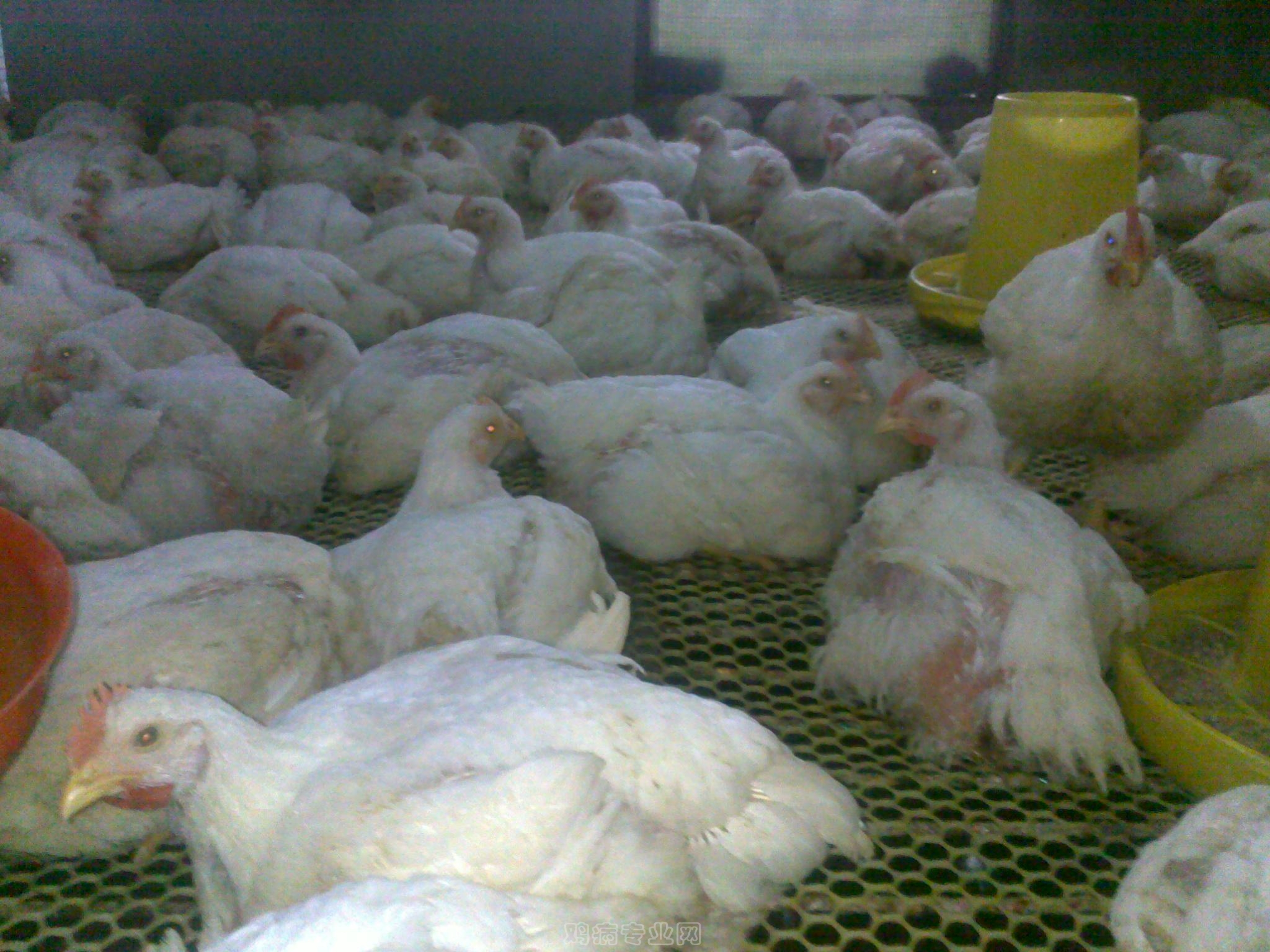 20120903620.jpg