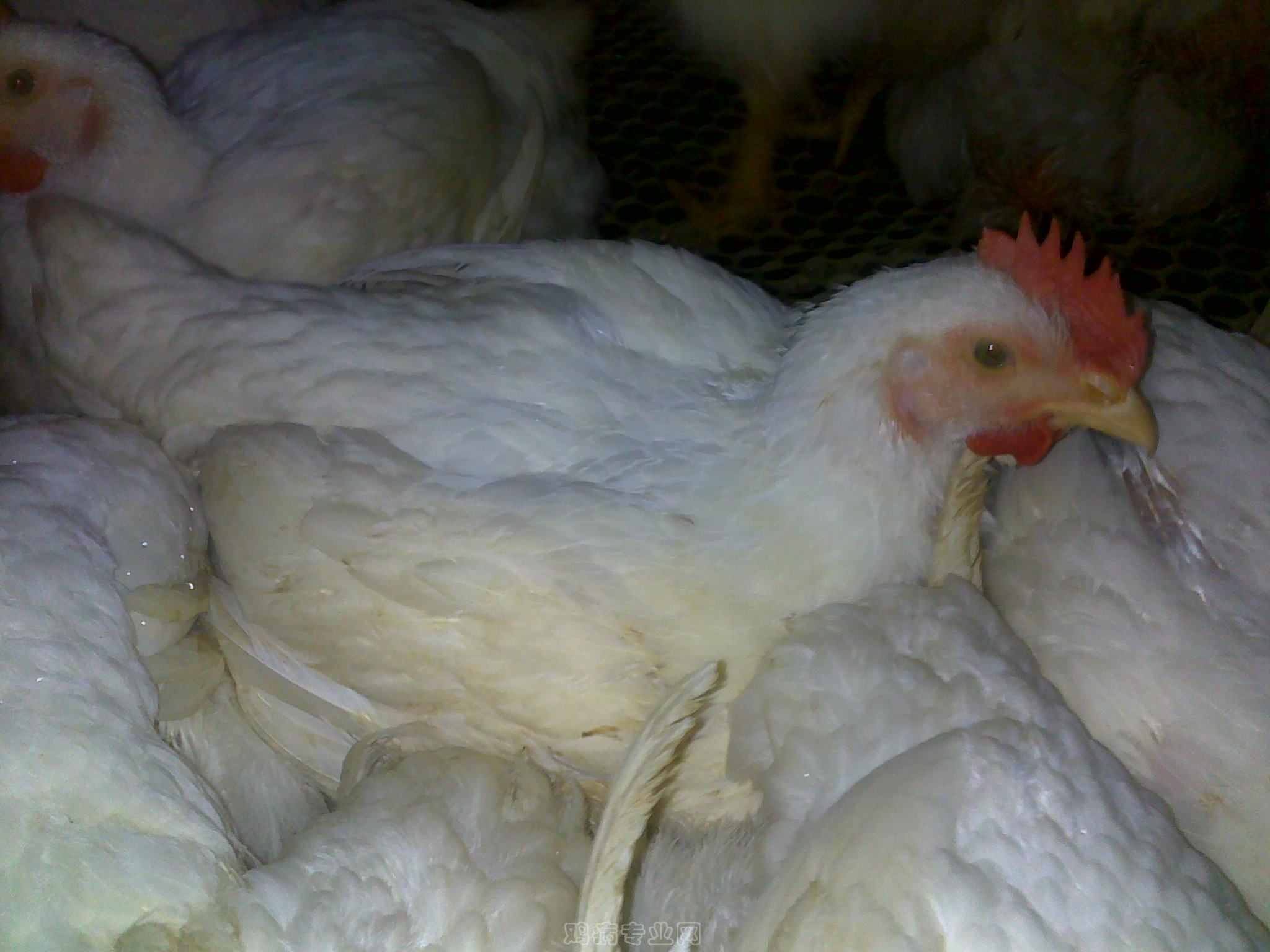 20120902586.jpg