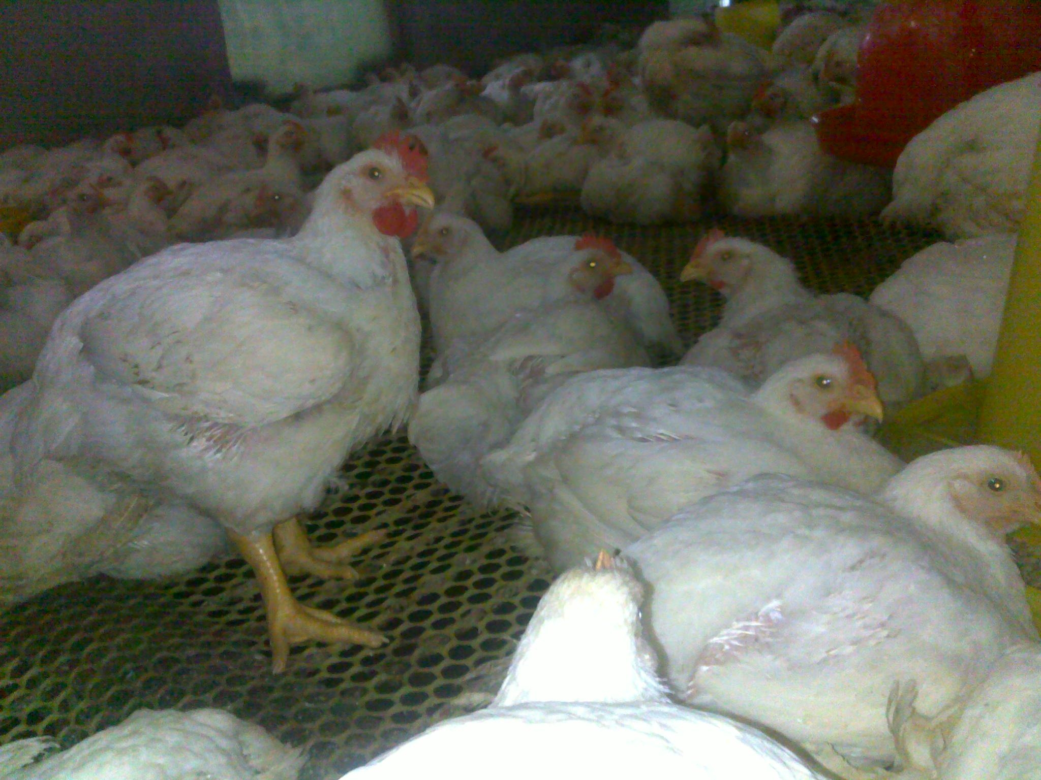 20120903613.jpg
