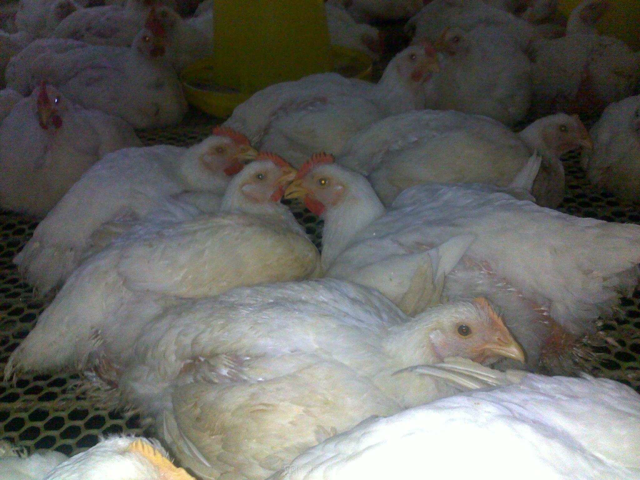 20120903622.jpg