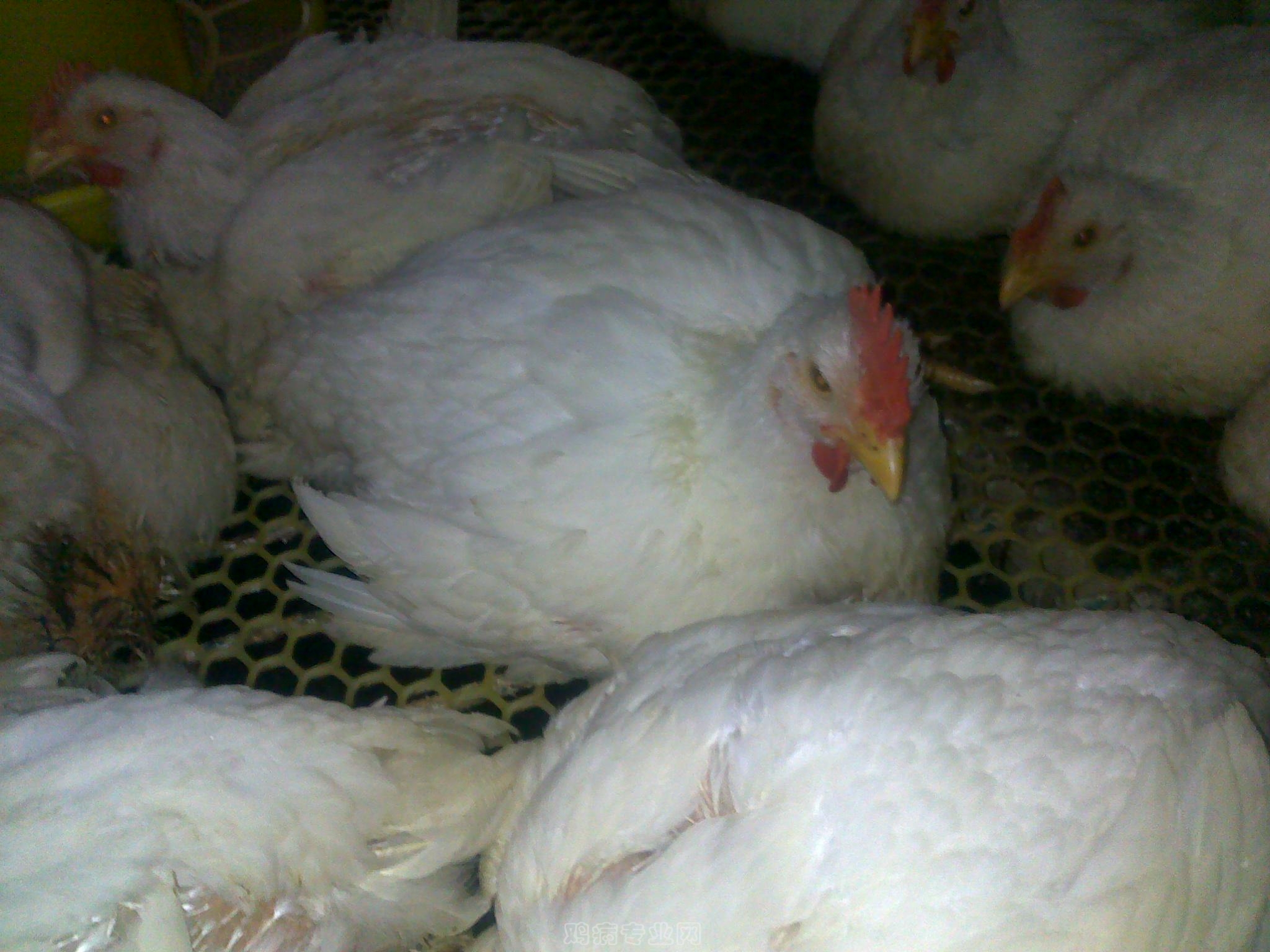 20120903597.jpg