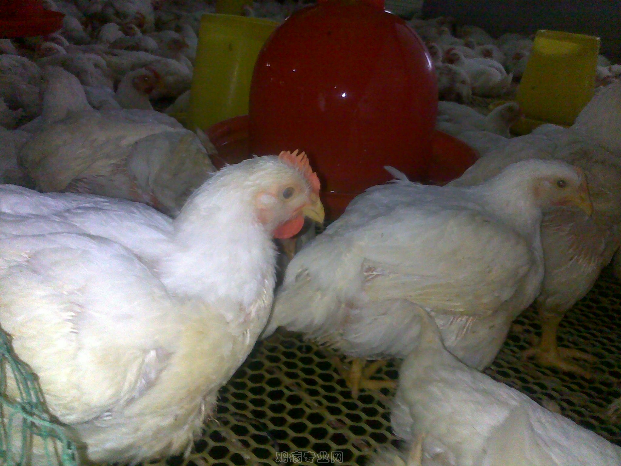 20120903623.jpg