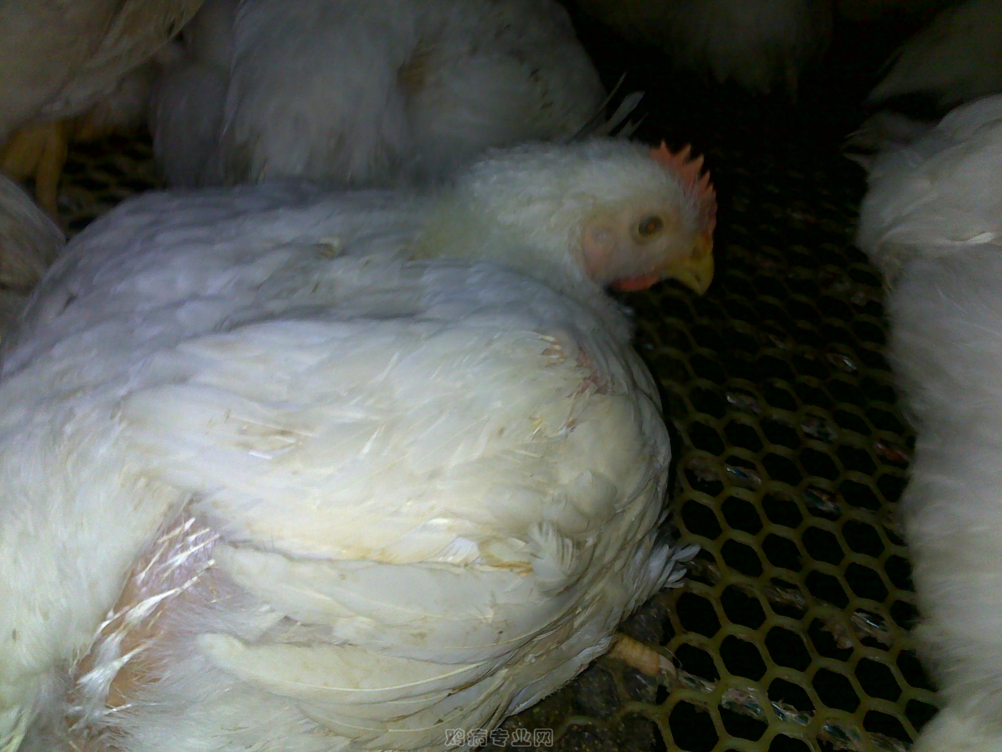 20120902582.jpg