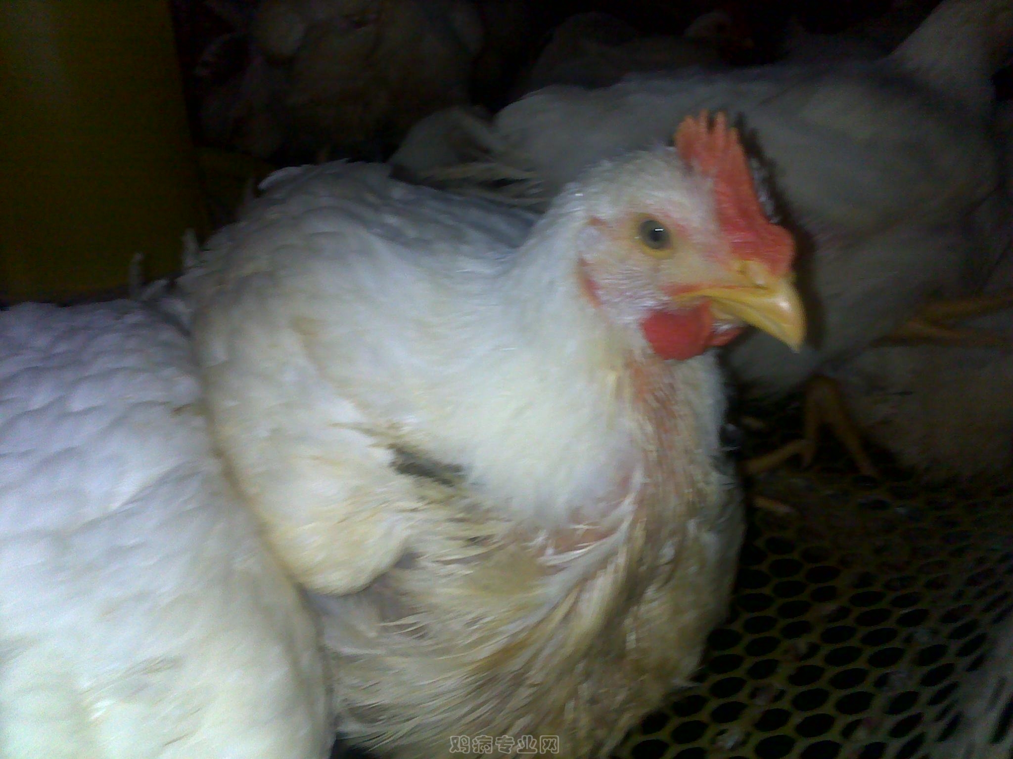 20120903617.jpg