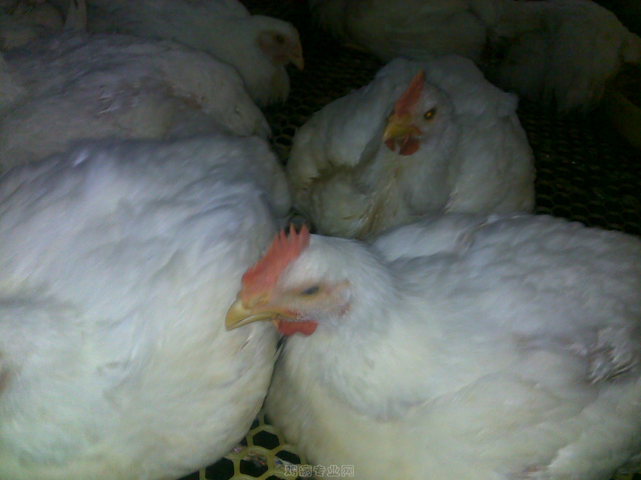 20120903603.jpg
