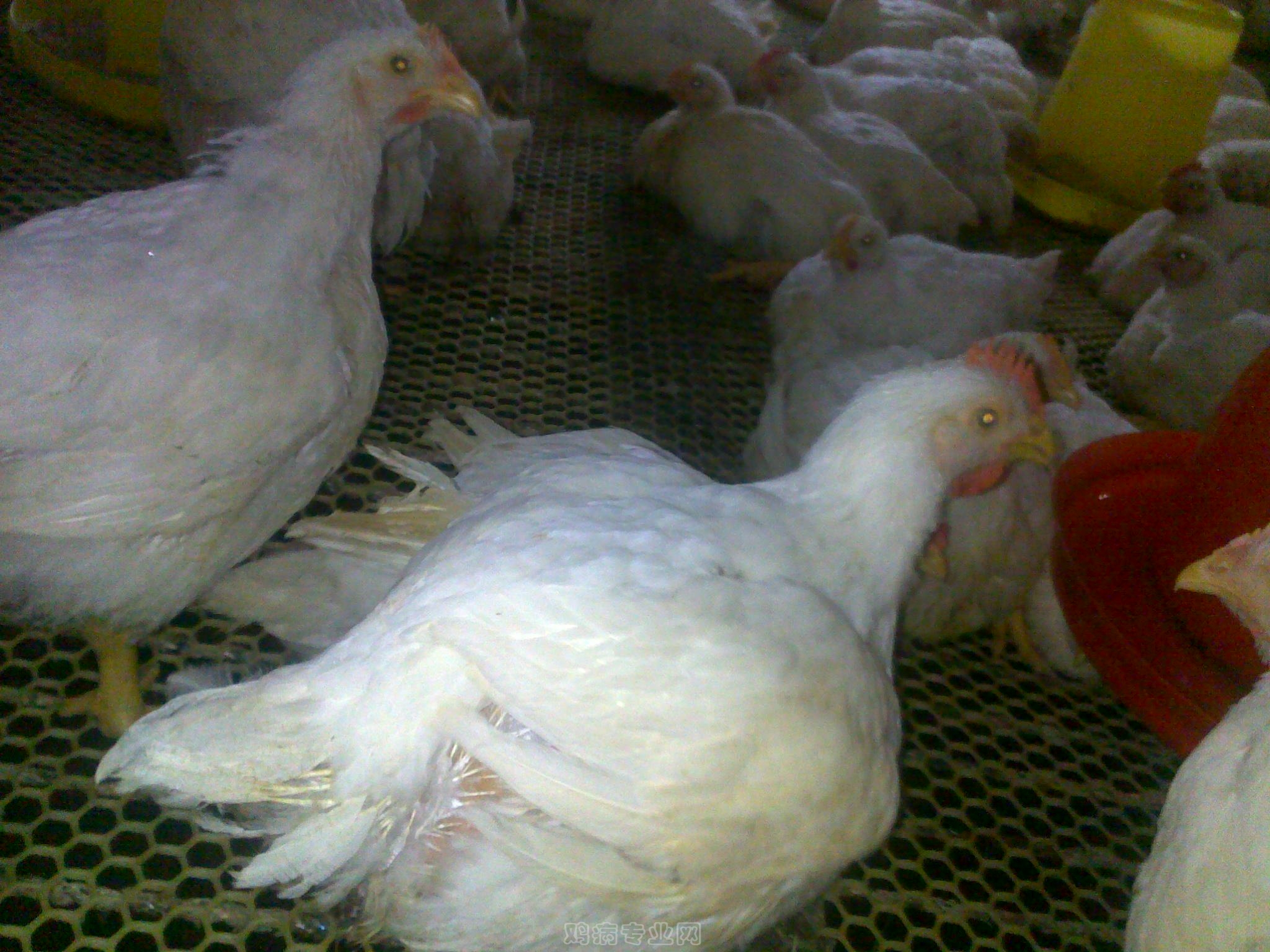 20120903595.jpg