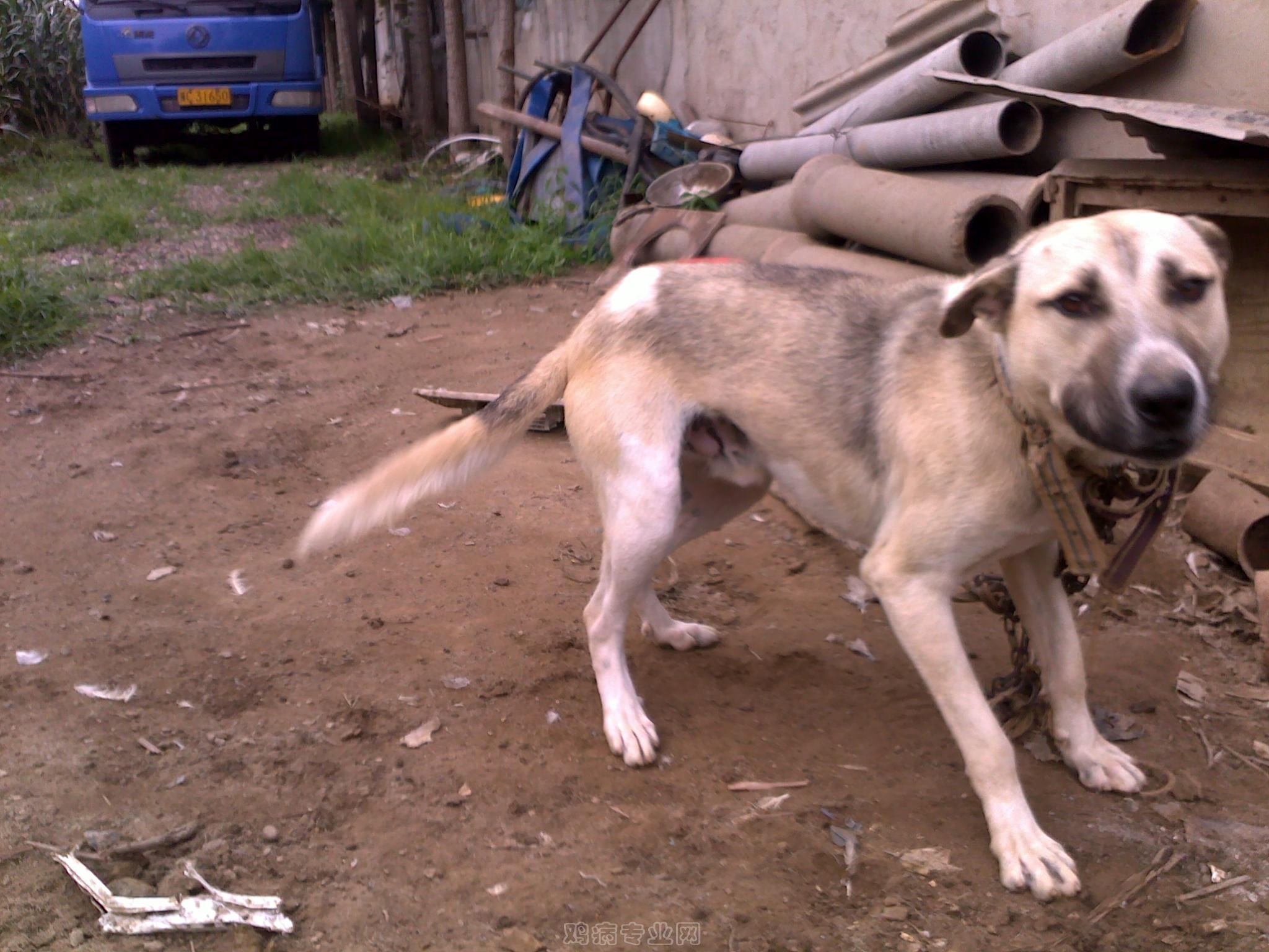 20120906633.jpg