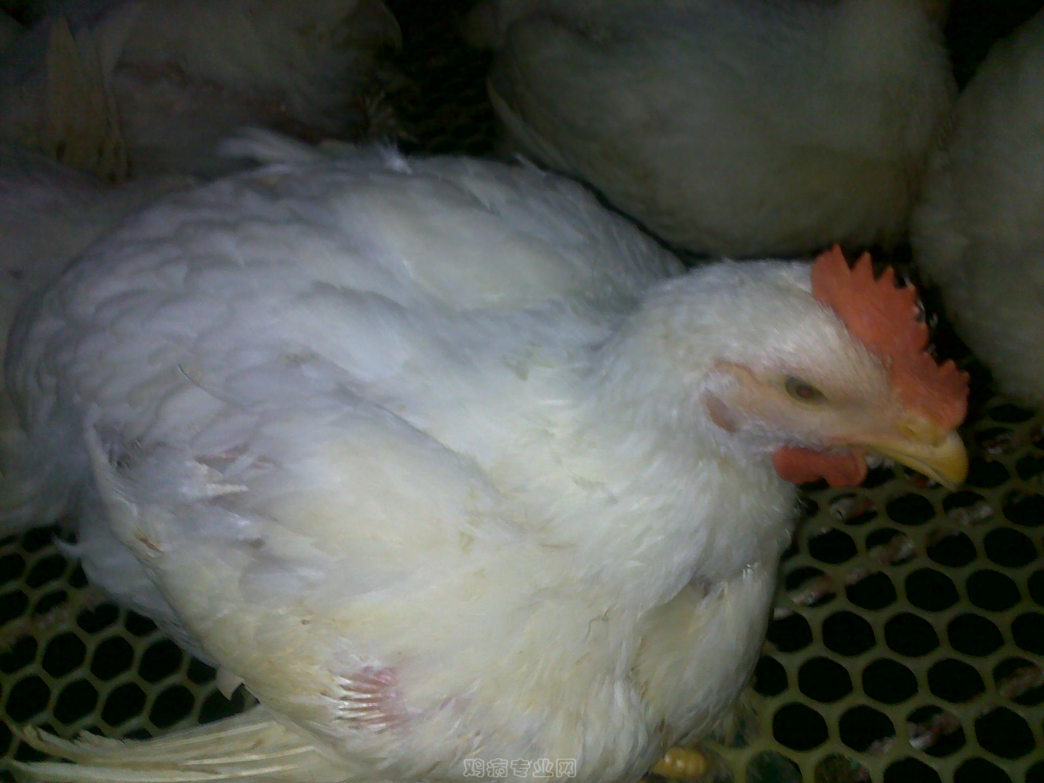 20120903621.jpg