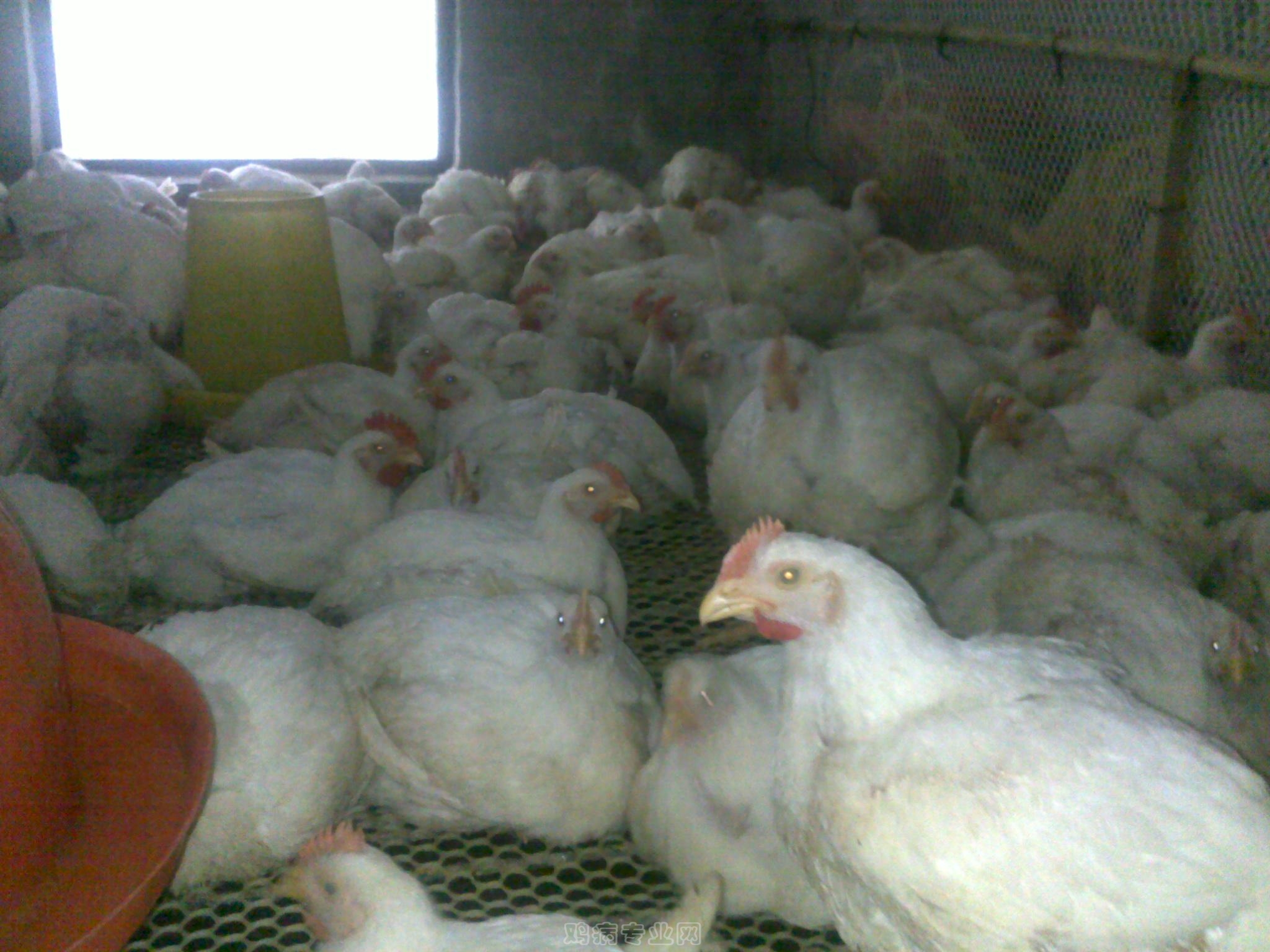 20120903624.jpg