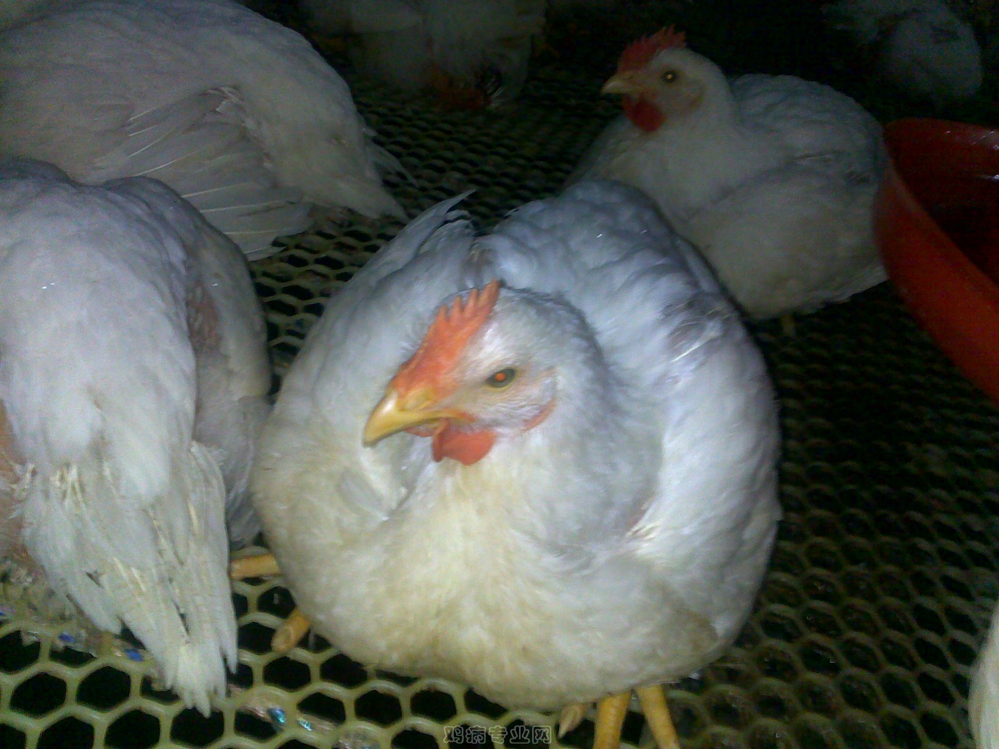 20120902588.jpg