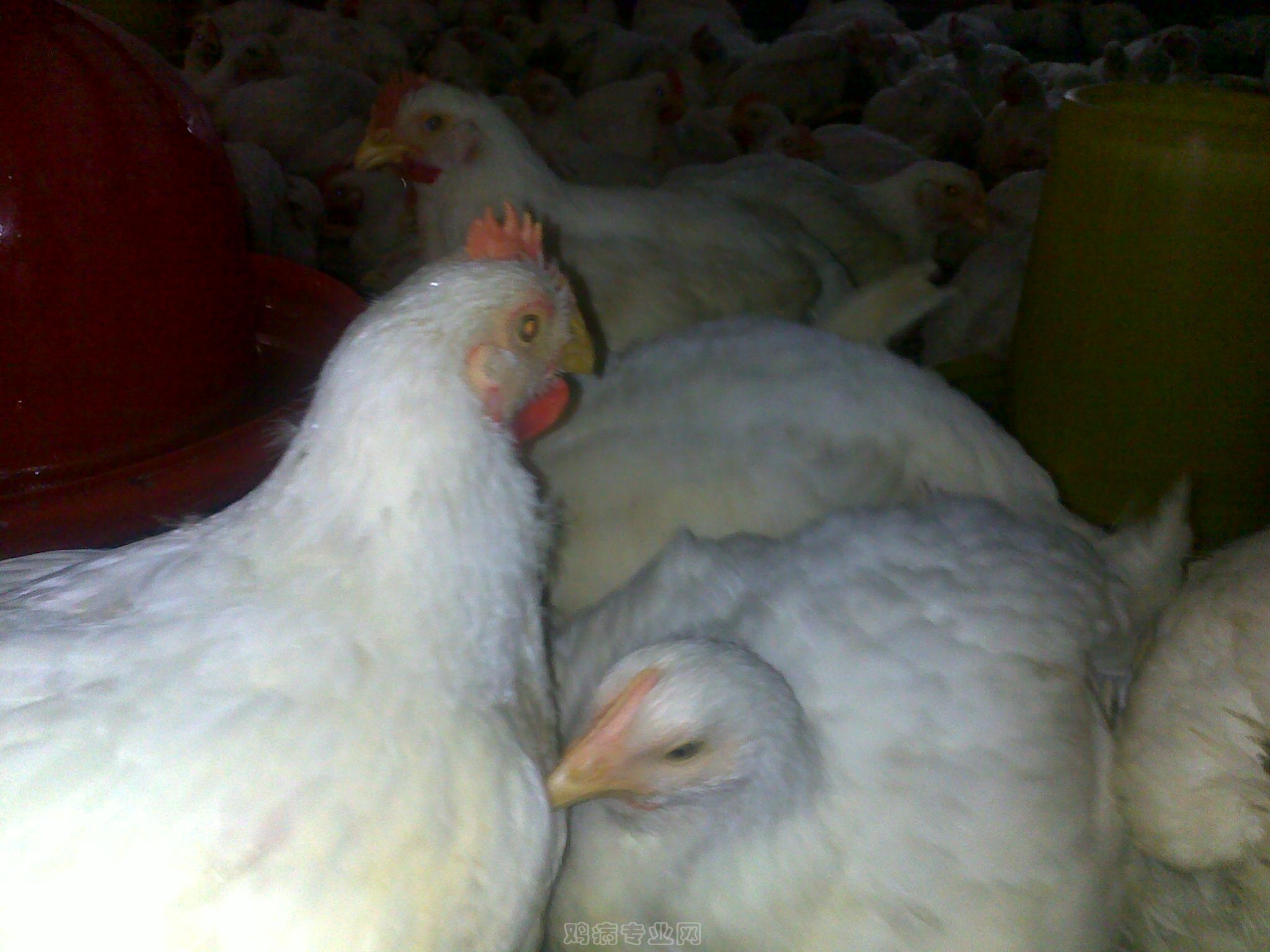 20120903616.jpg