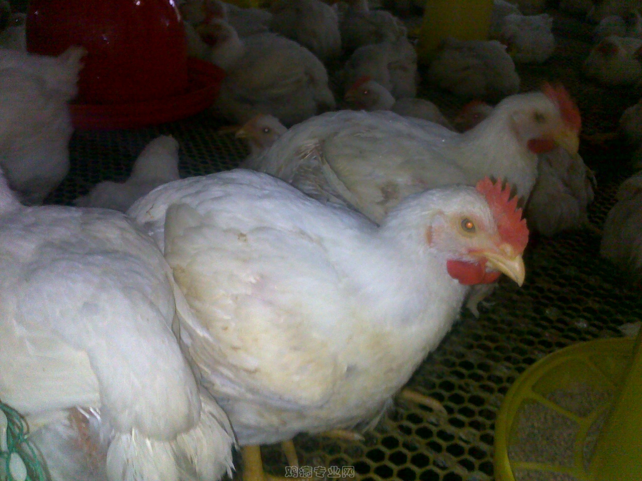 20120903596.jpg