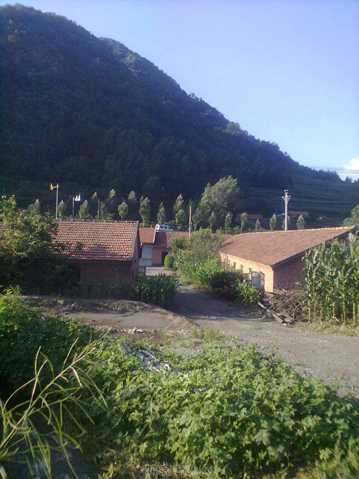 Ƭ0119.jpg
