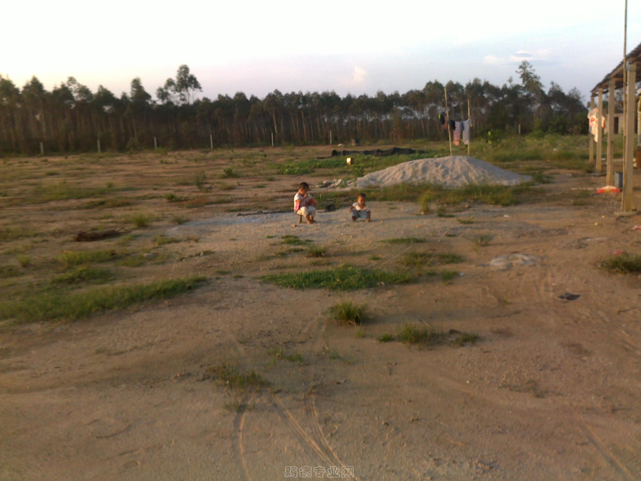20120903022.jpg