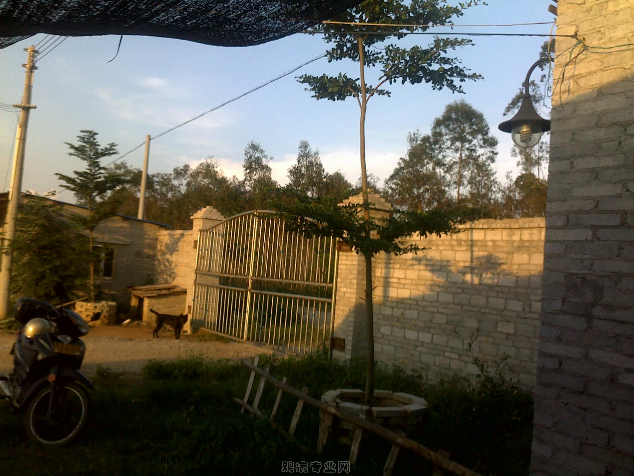 20120903020.jpg