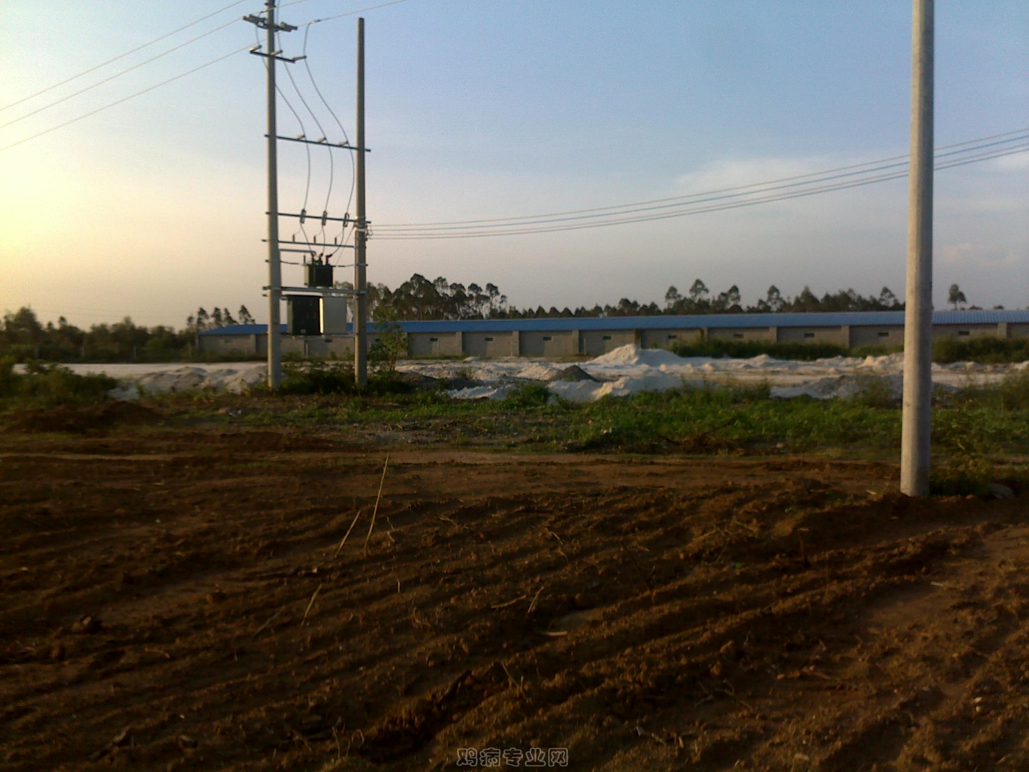 20120903011.jpg