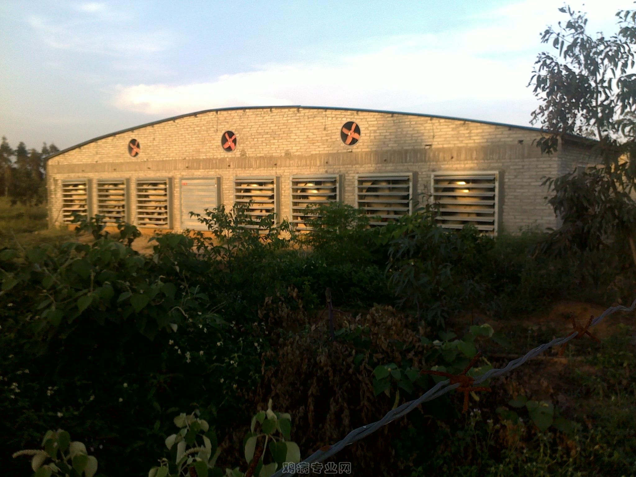 20120903018.jpg
