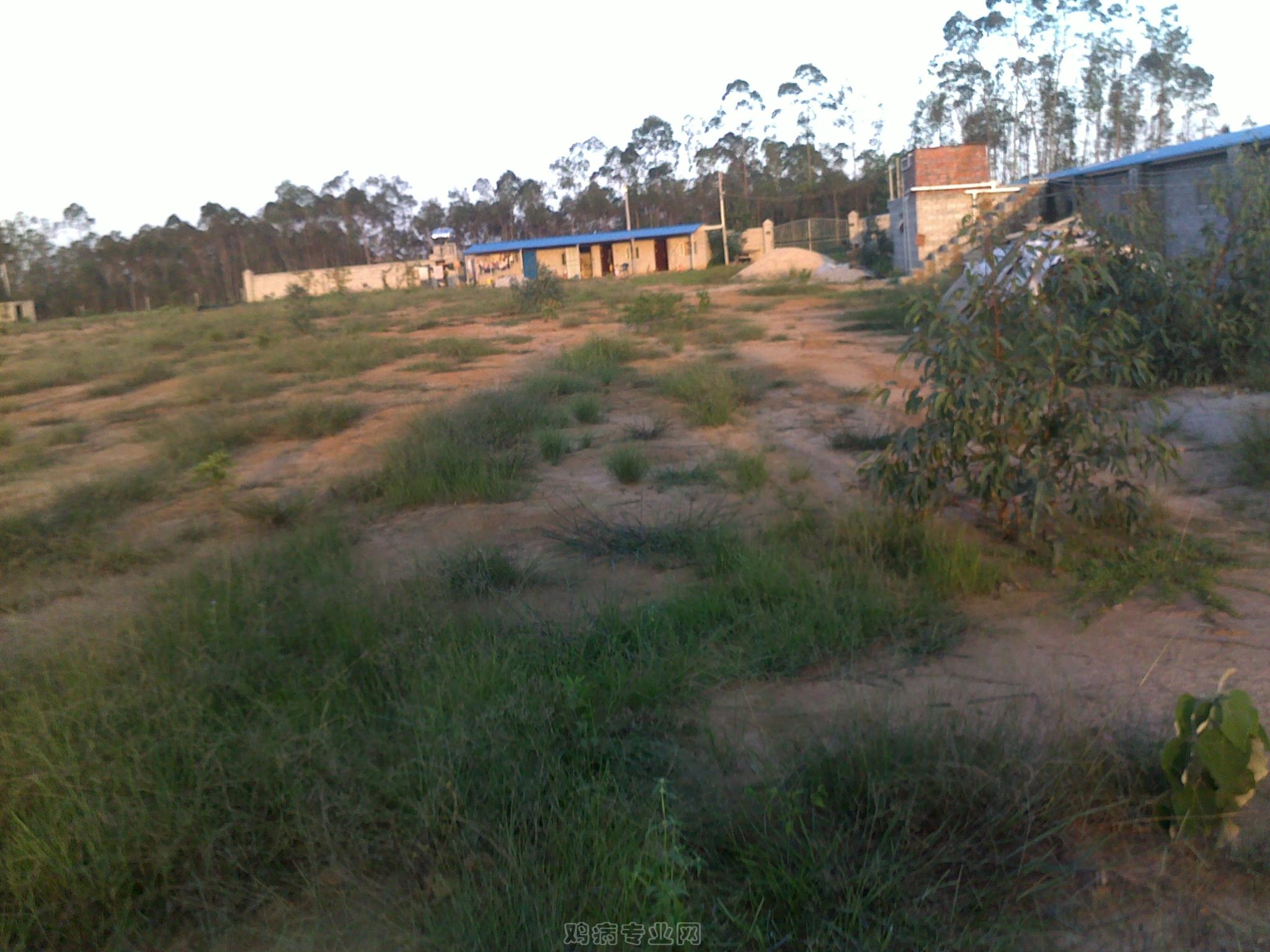 20120903024.jpg