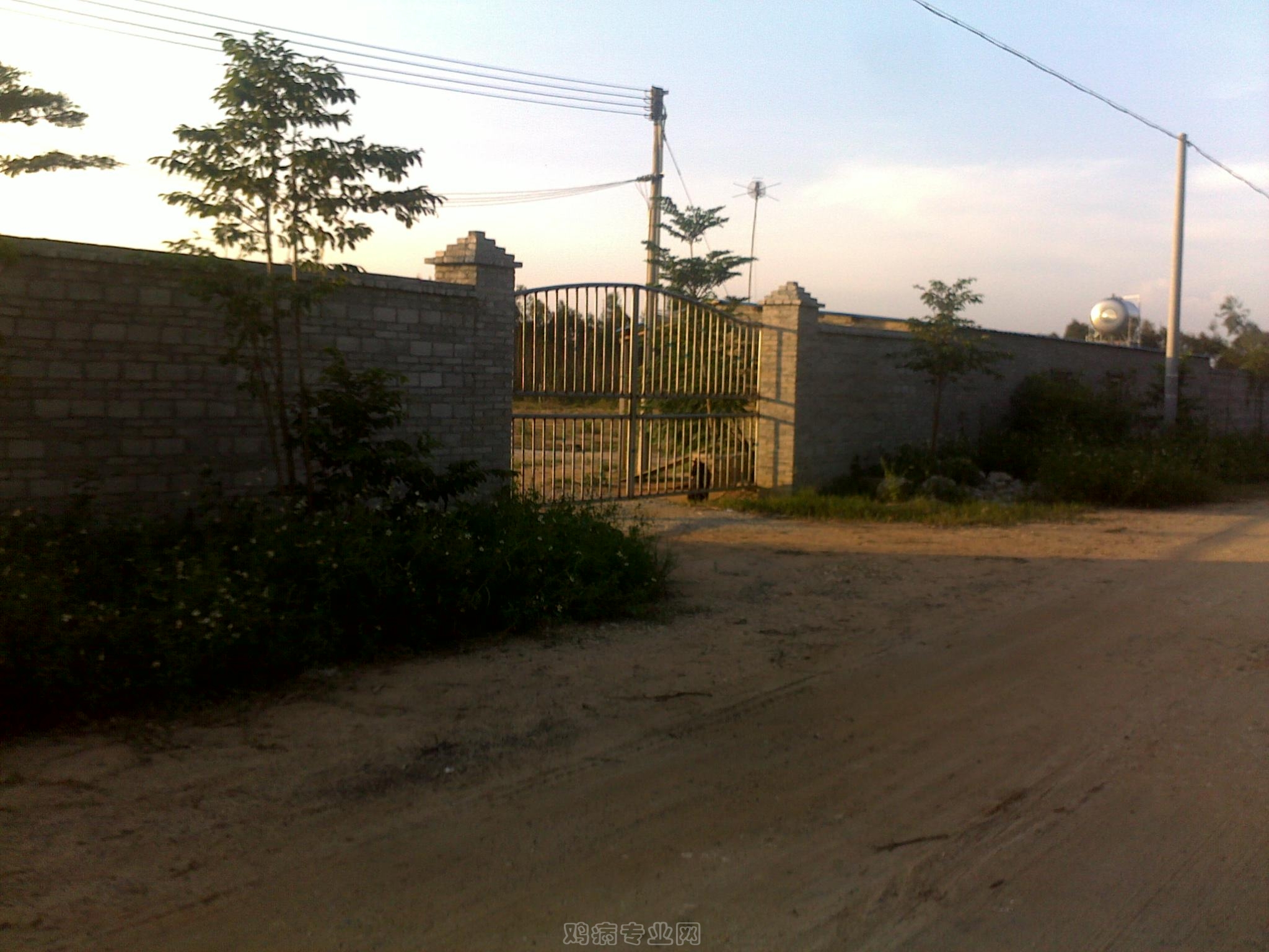 20120903013.jpg
