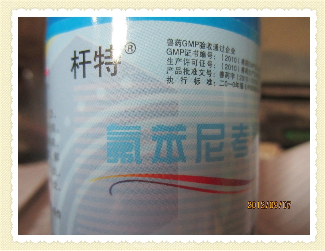 Ƭ 069.jpg