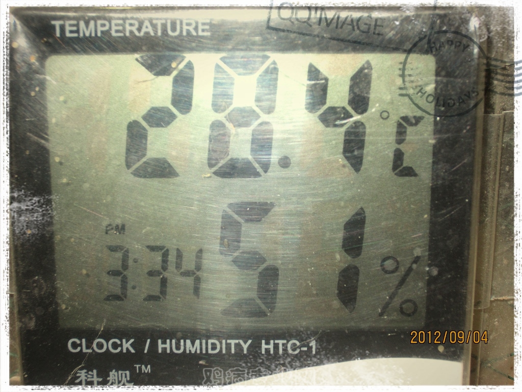 Ƭ 037.jpg