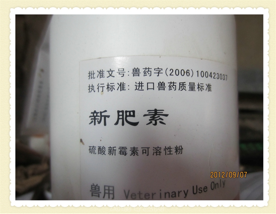 Ƭ 071.jpg