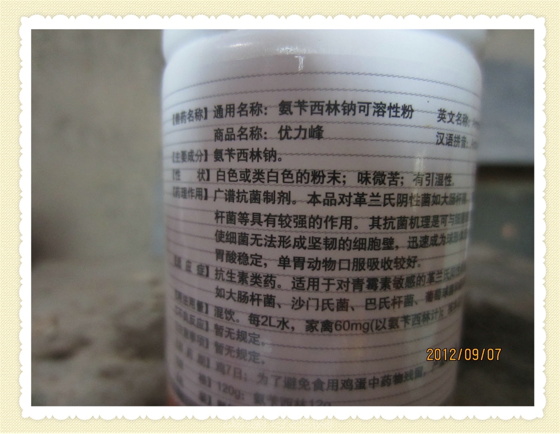 Ƭ 067.jpg