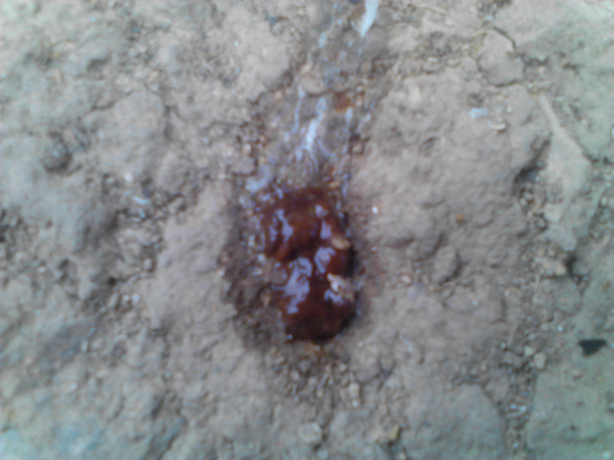Camera_20121020_145803.jpg