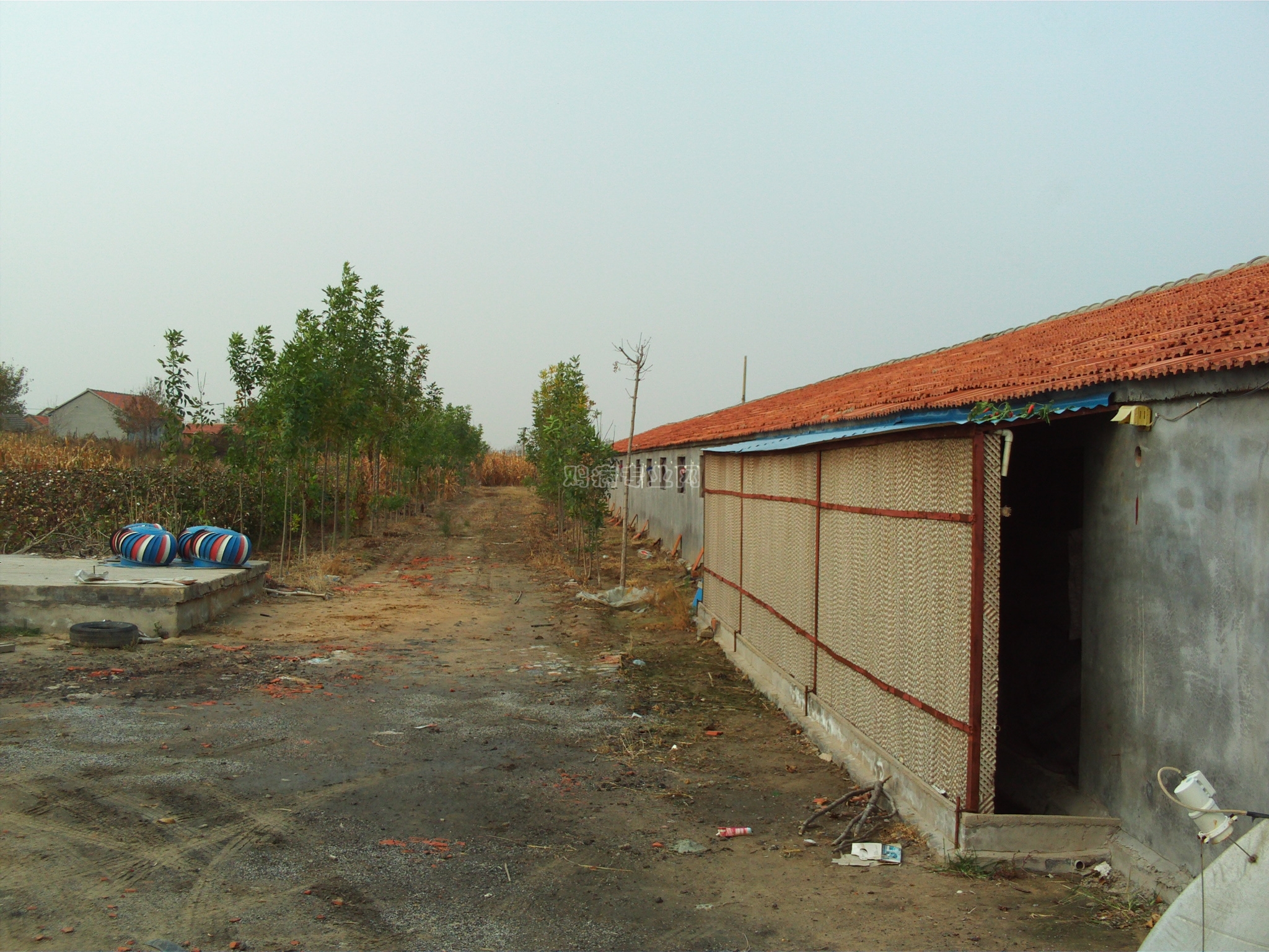 FILE0021.JPG