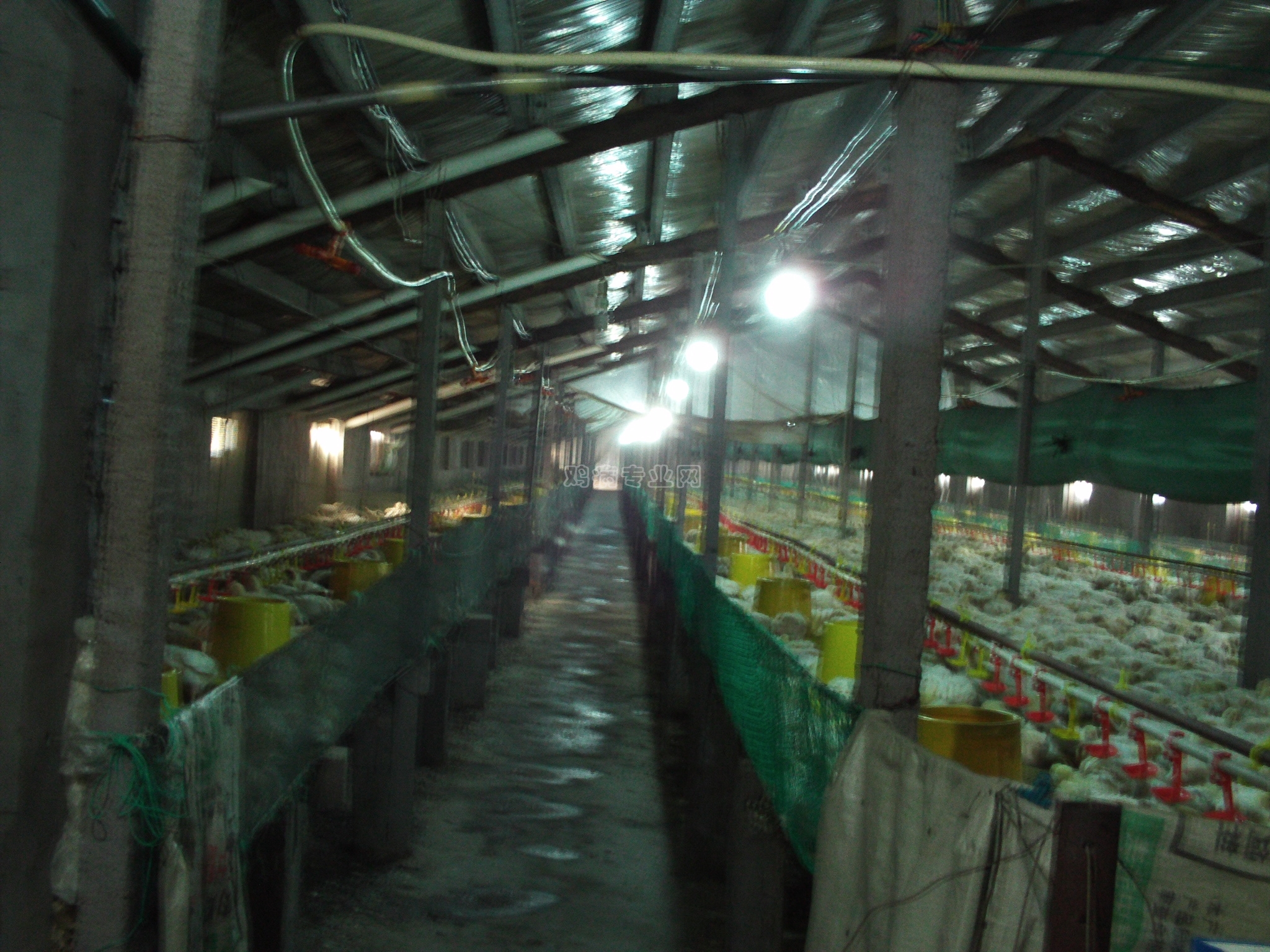 FILE0018.JPG