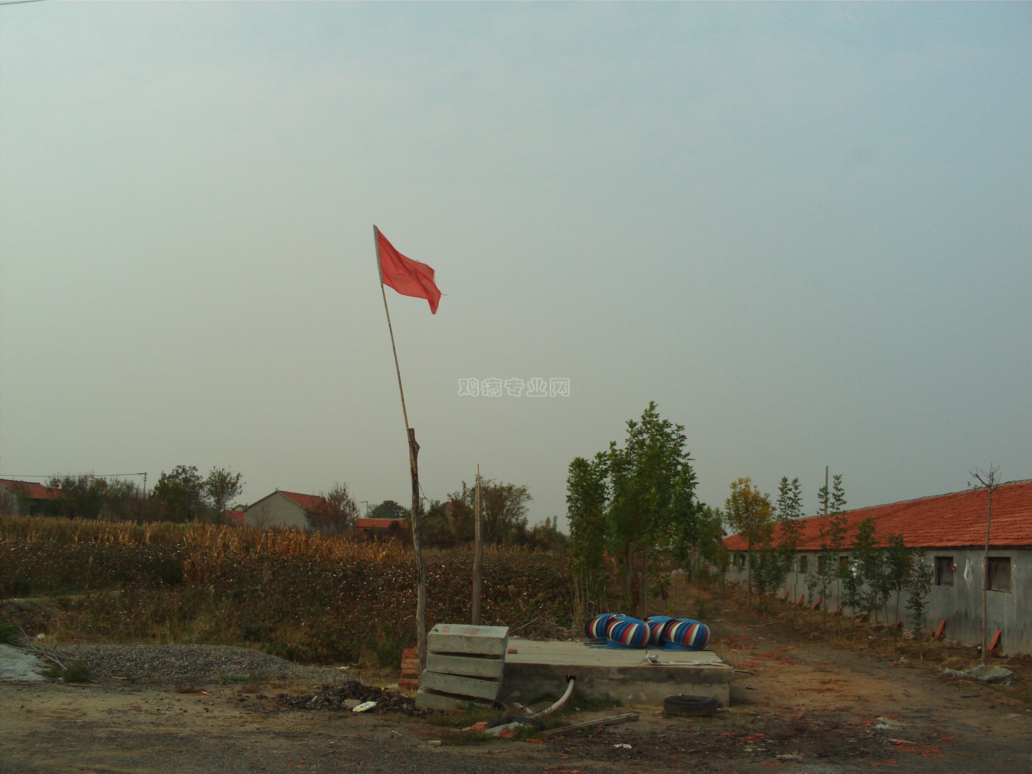 FILE0023.JPG