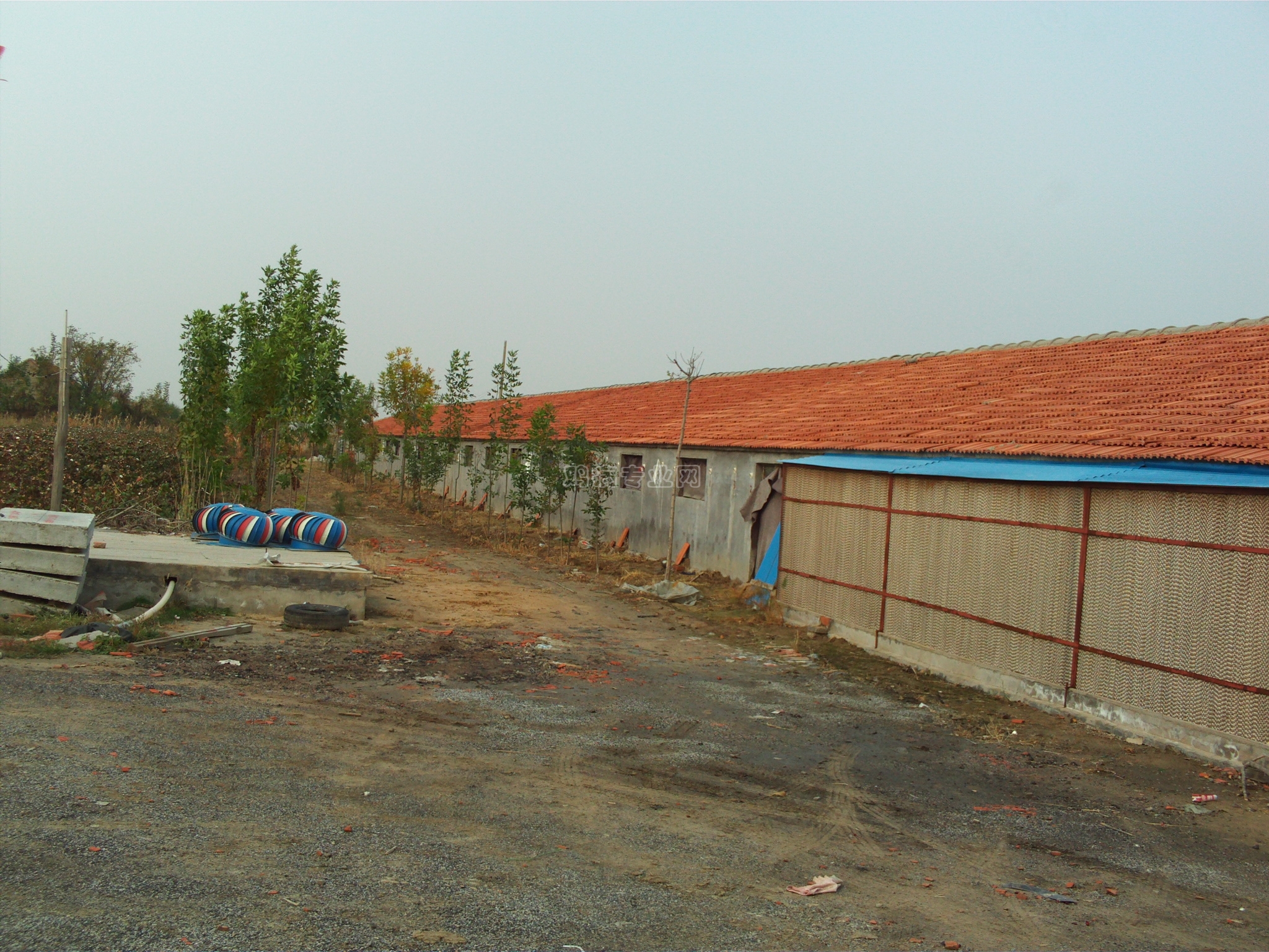 FILE0022.JPG